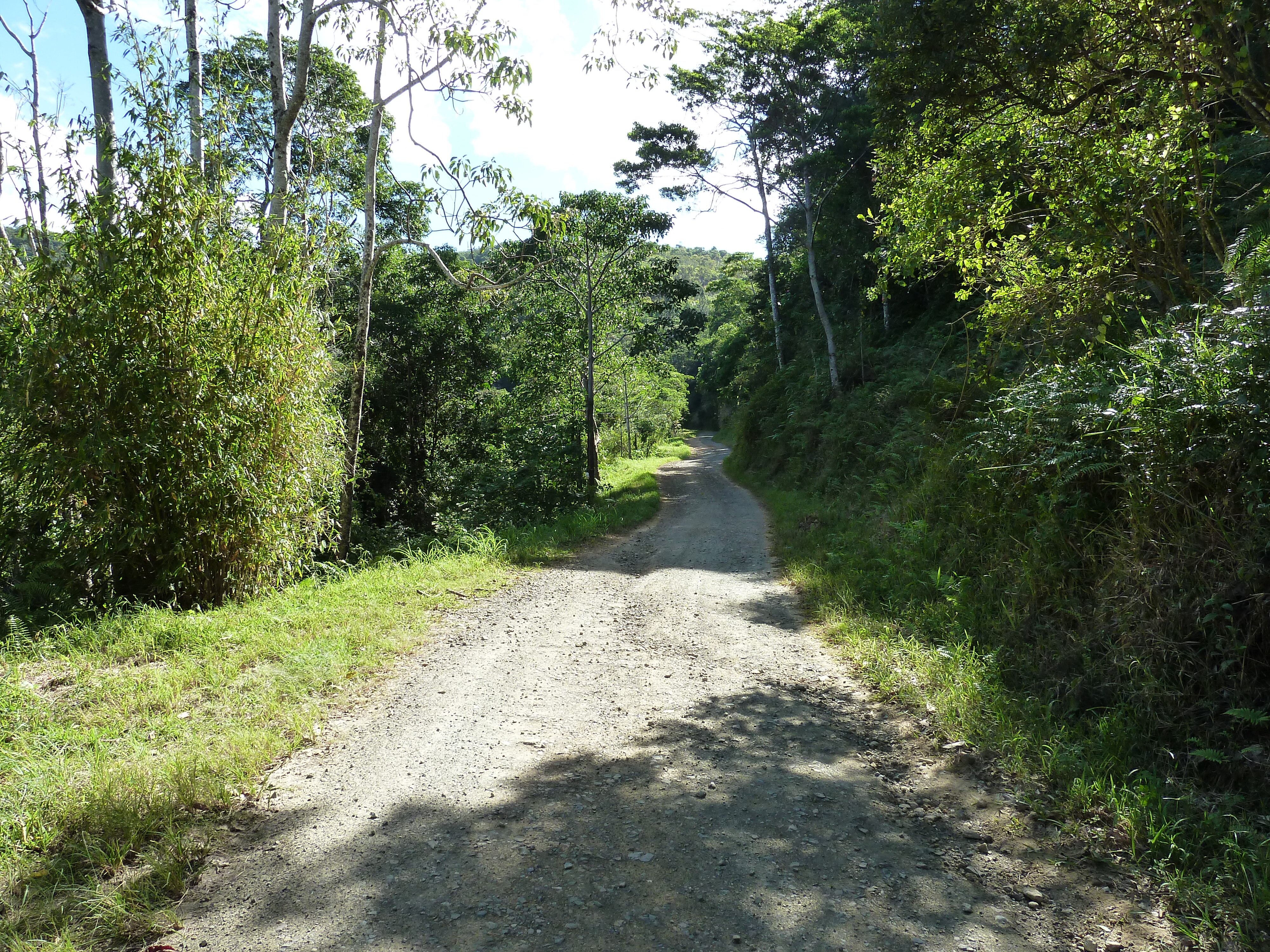 Picture New Caledonia Thio to Canala road 2010-05 77 - History Thio to Canala road