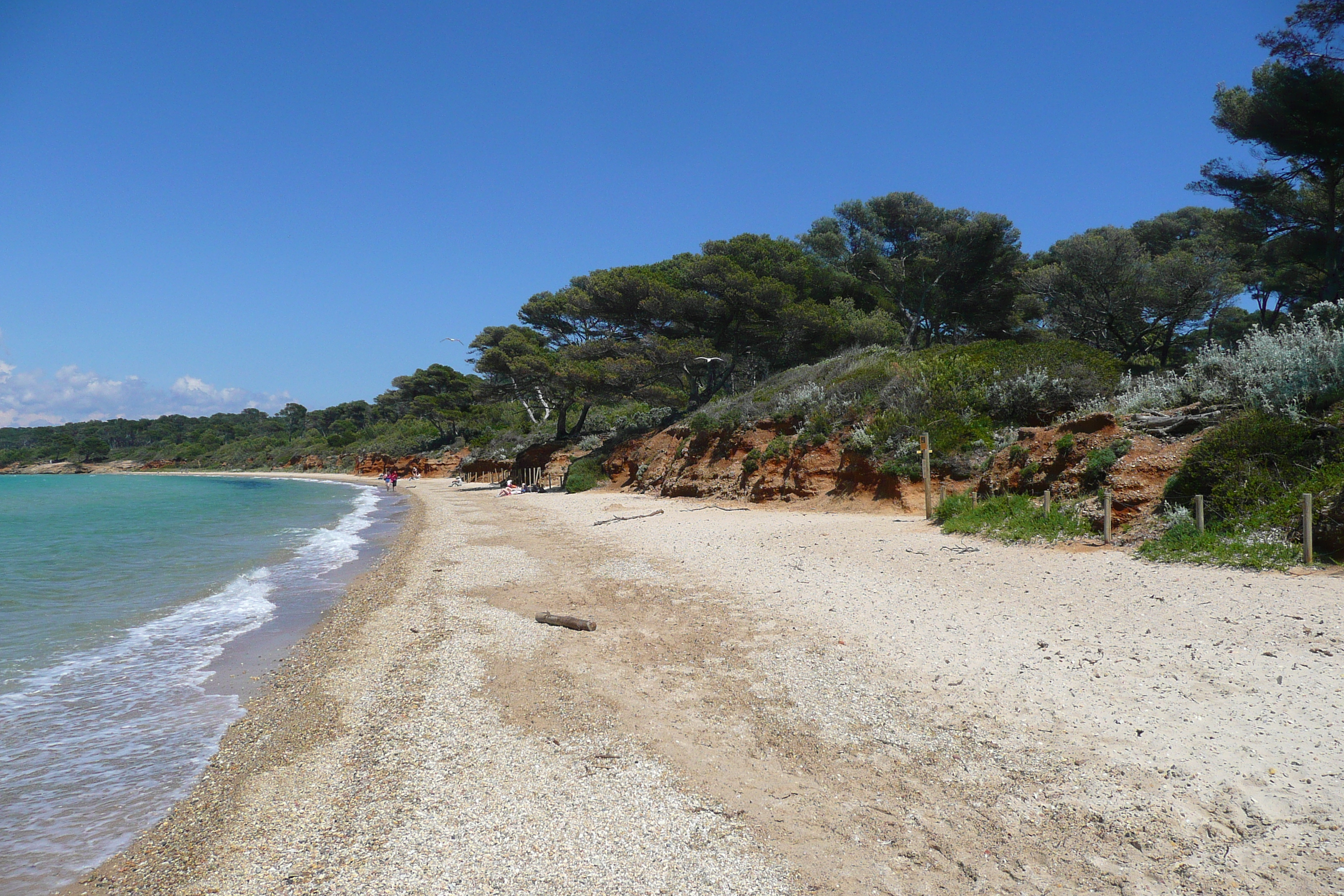 Picture France Porquerolles Island Courtade beach 2008-05 45 - Discovery Courtade beach