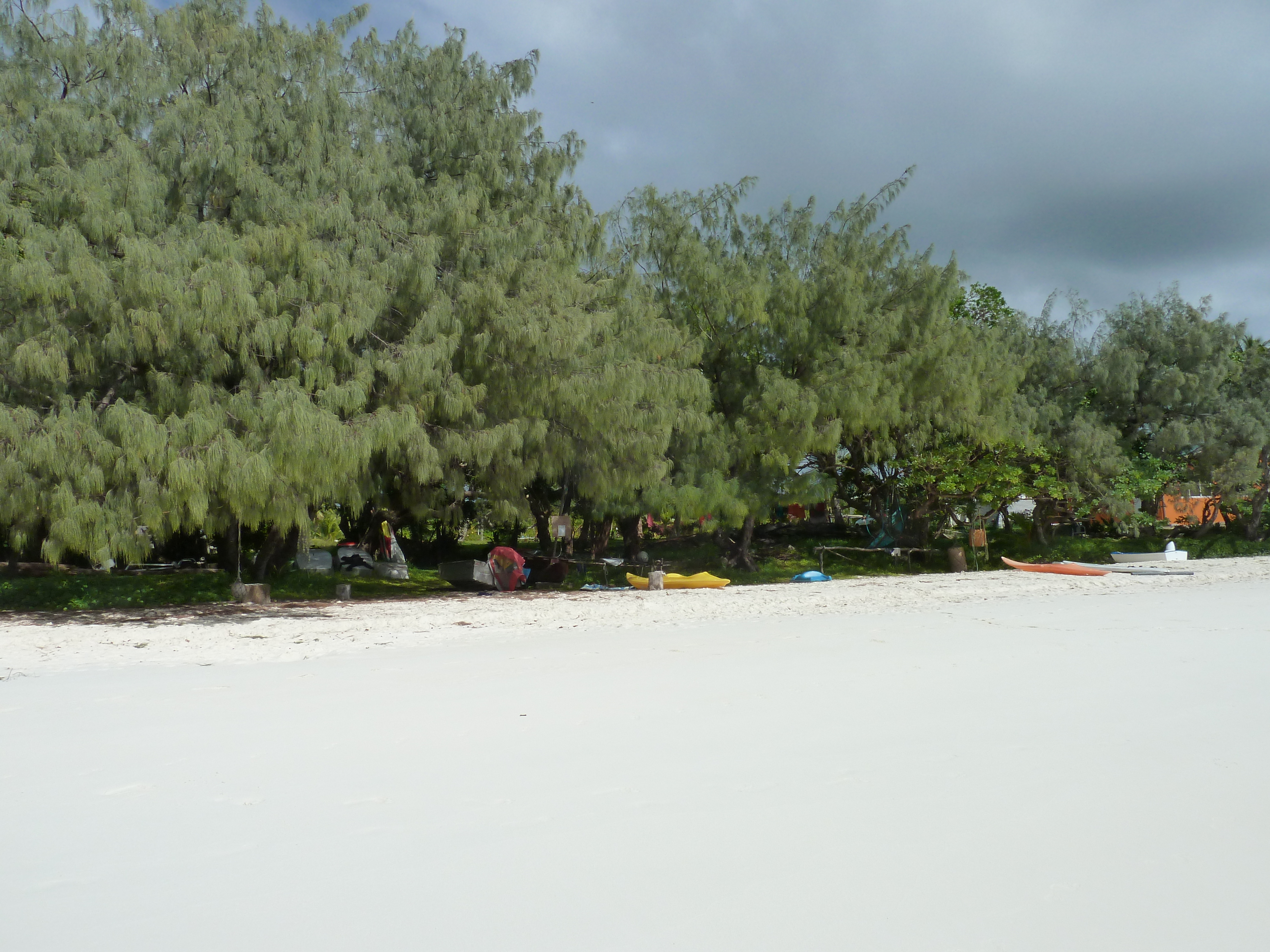 Picture New Caledonia Lifou Luengoni Beach 2010-05 44 - Tours Luengoni Beach