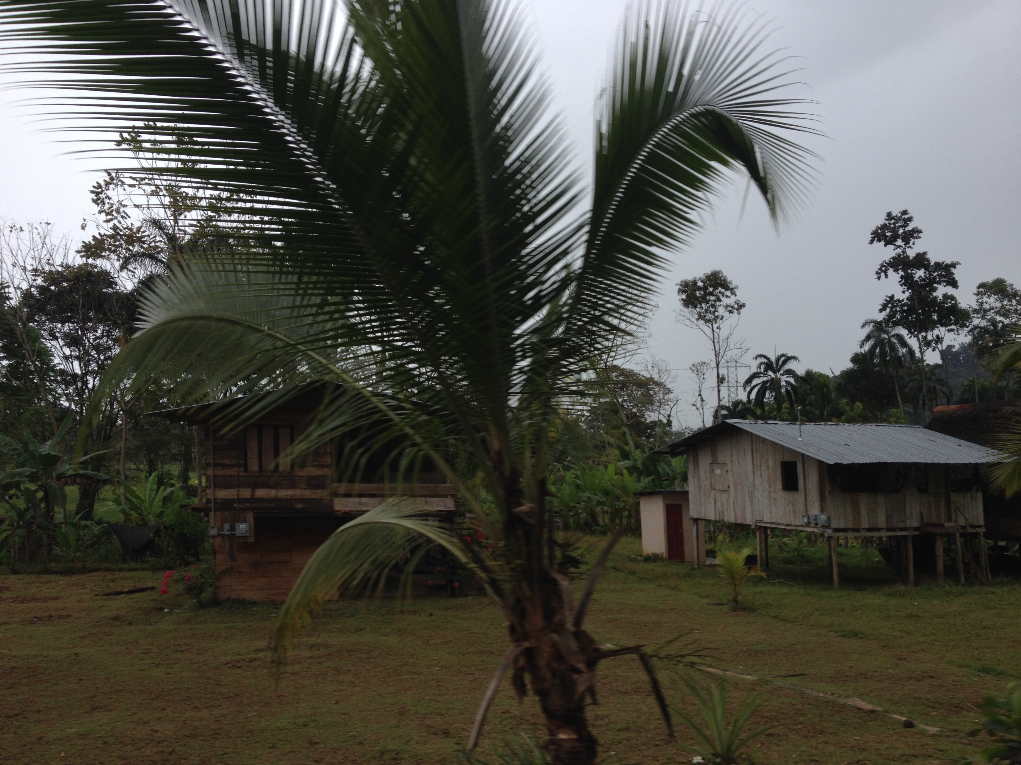 Picture Panama David to Bocas del toro 2015-03 5 - Tour David to Bocas del toro