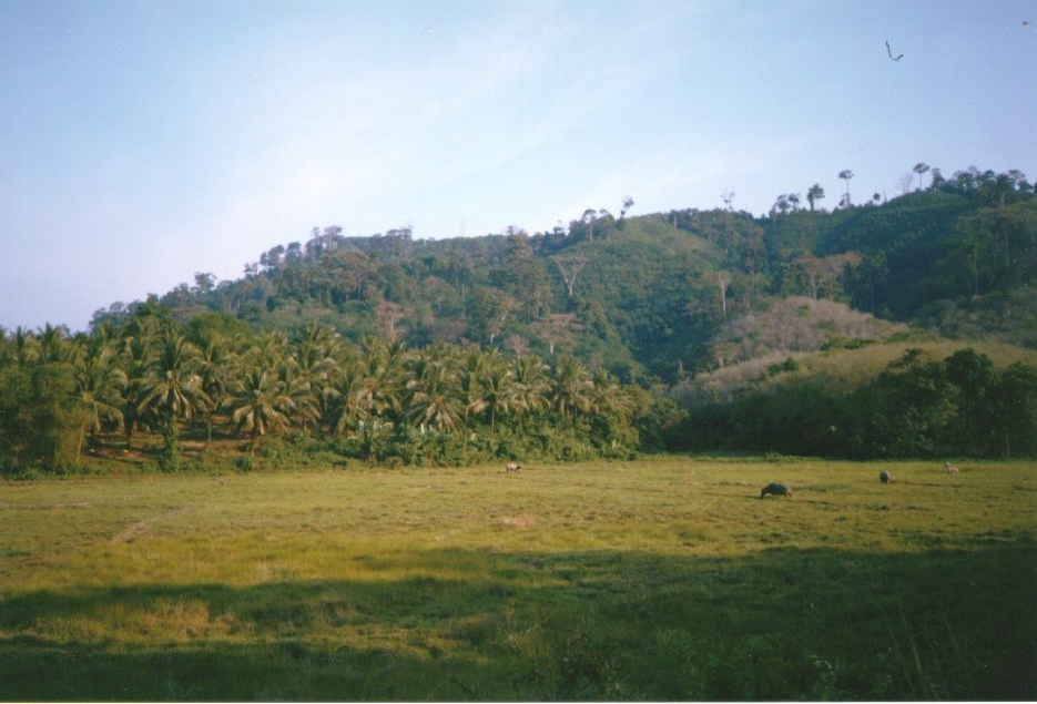 Picture Thailand Phuket 1994-02 3 - Around Phuket