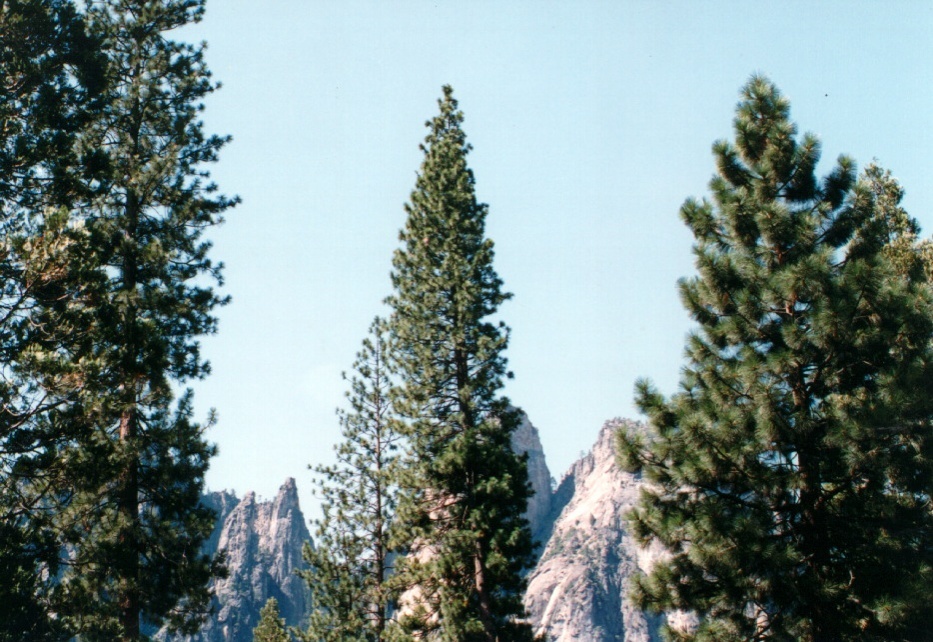 Picture United States Yosemite National Park 1992-08 4 - Journey Yosemite National Park