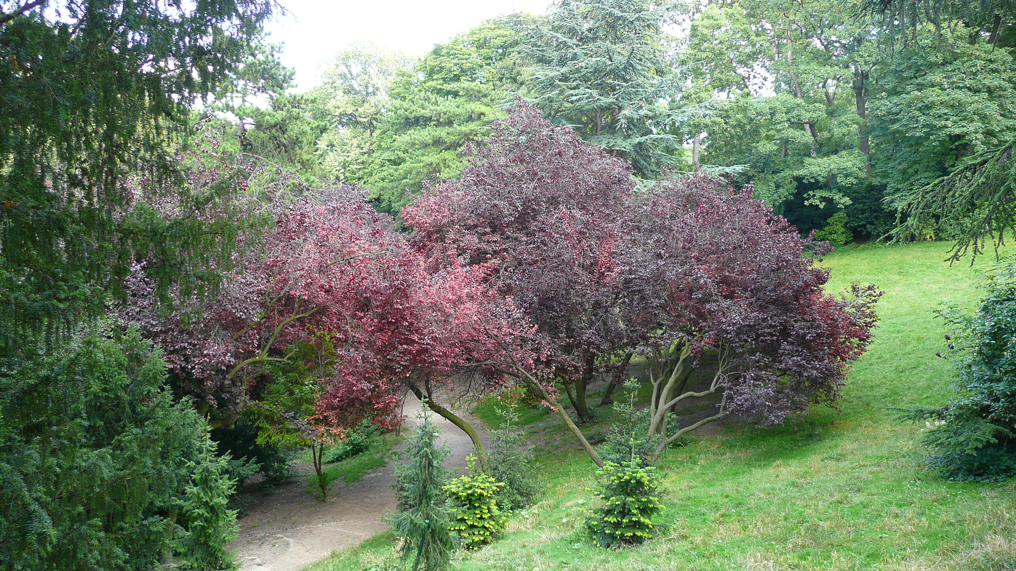 Picture France Paris Parc des Butes Chaumont 2007-08 4 - Tour Parc des Butes Chaumont