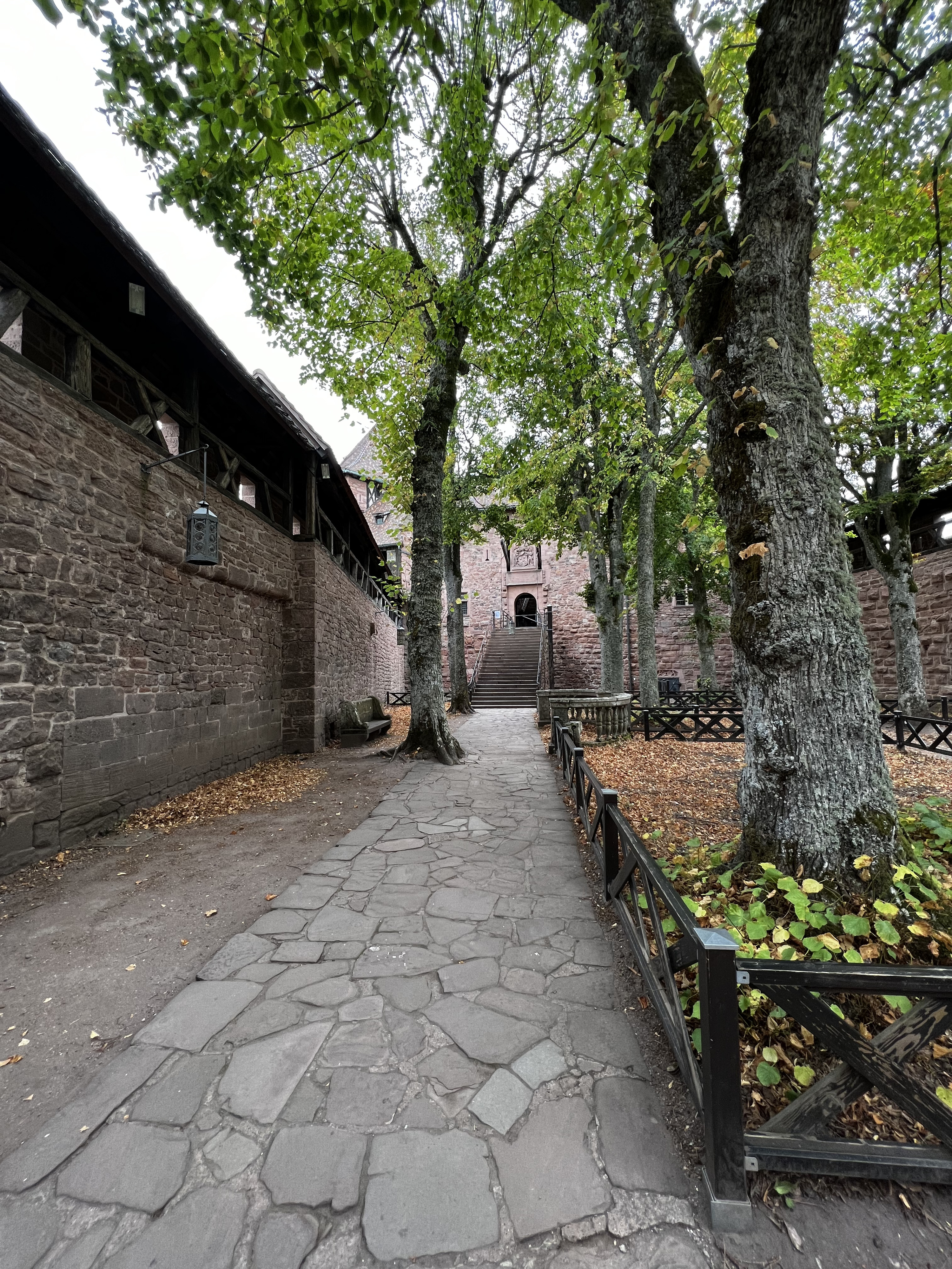 Picture France Koenigsbourg Castle 2023-10 60 - Center Koenigsbourg Castle