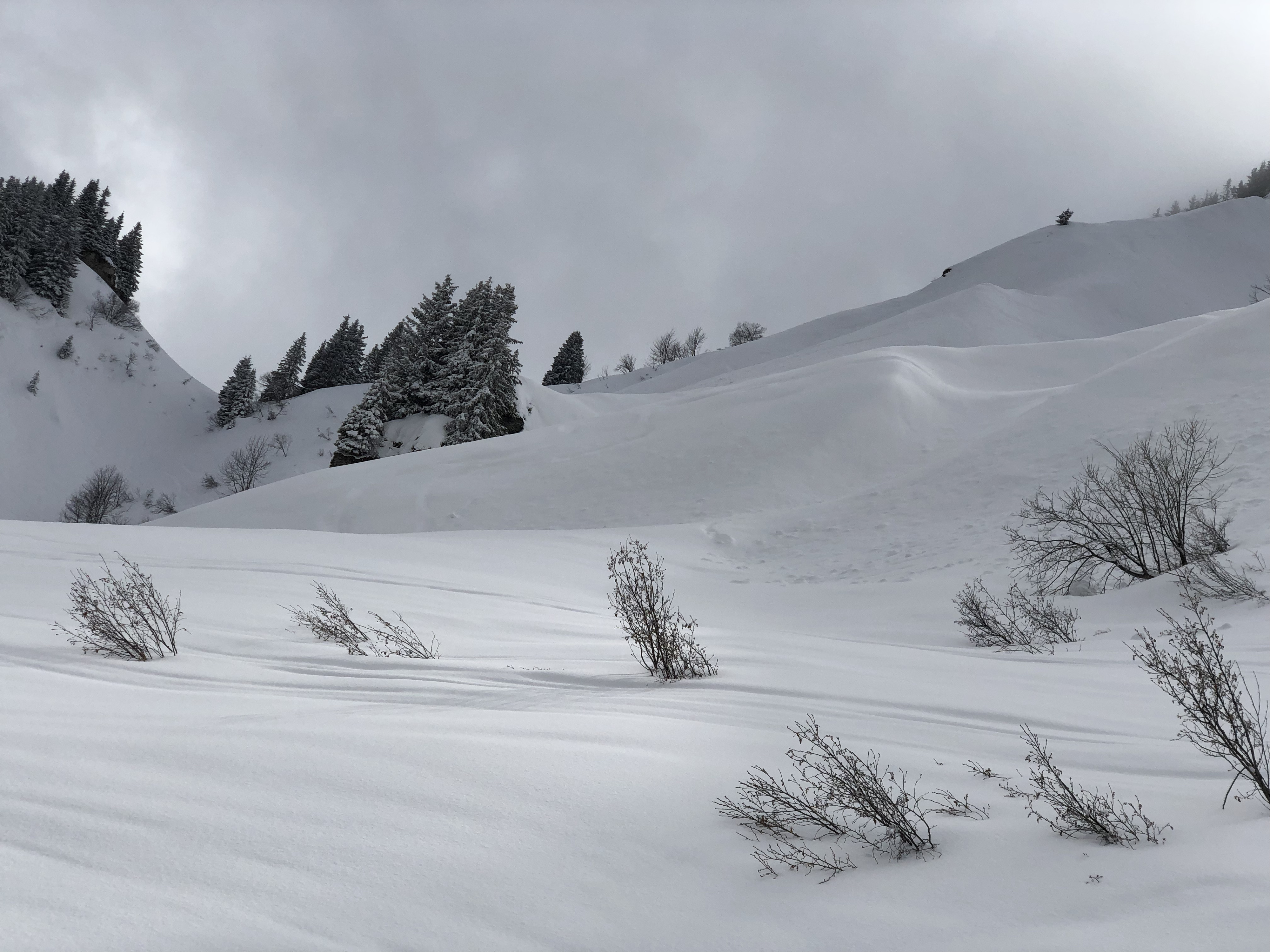 Picture France Megeve 2019-03 38 - Around Megeve