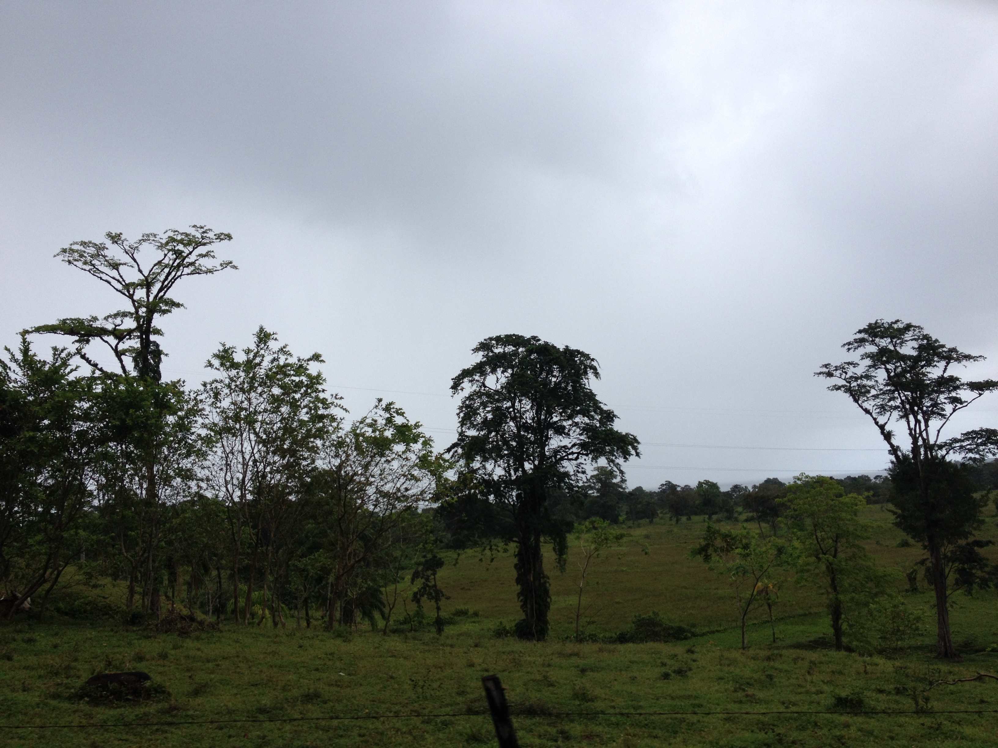 Picture Panama David to Bocas del toro 2015-03 43 - Discovery David to Bocas del toro