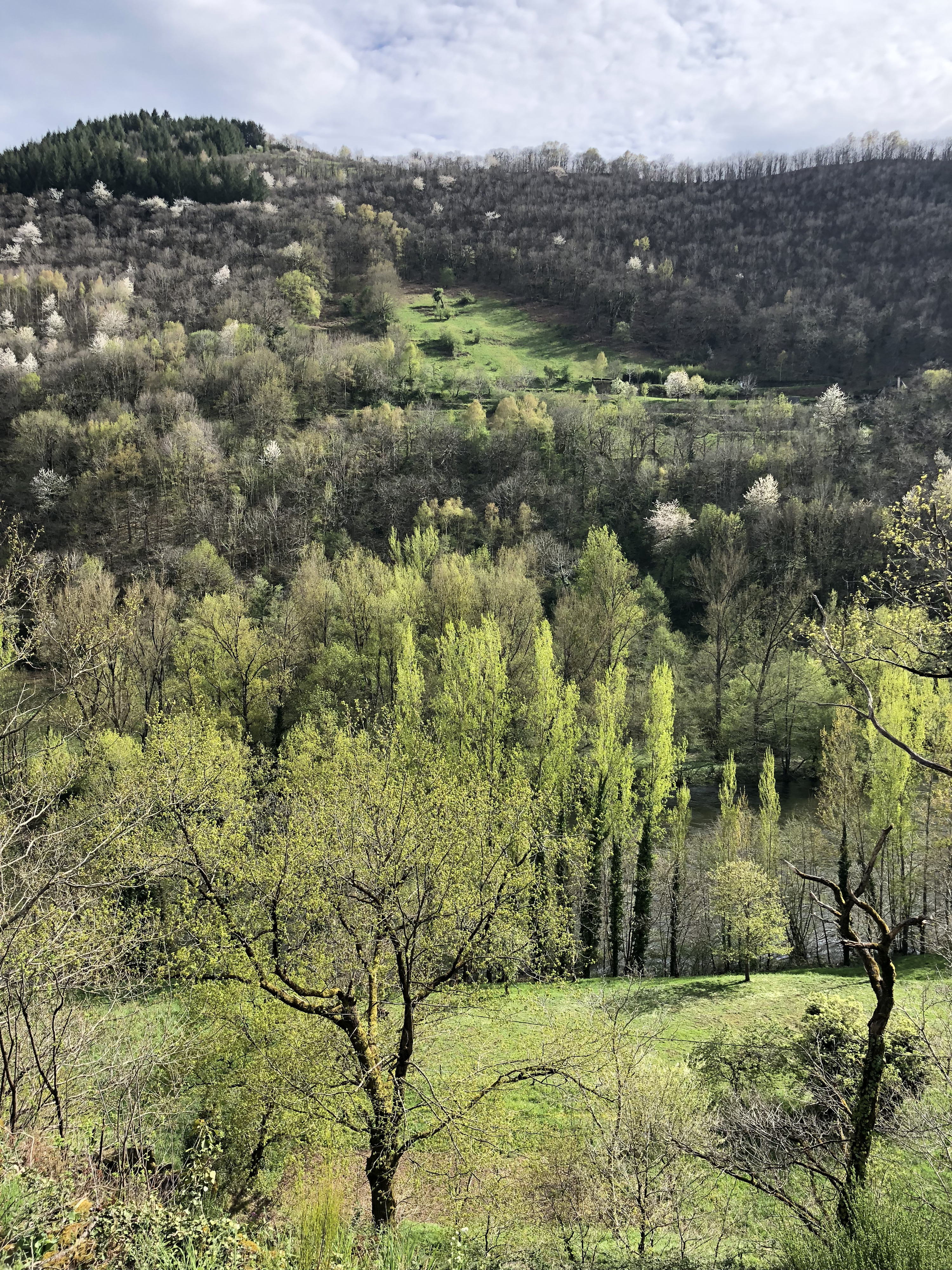 Picture France Conques 2018-04 69 - Recreation Conques