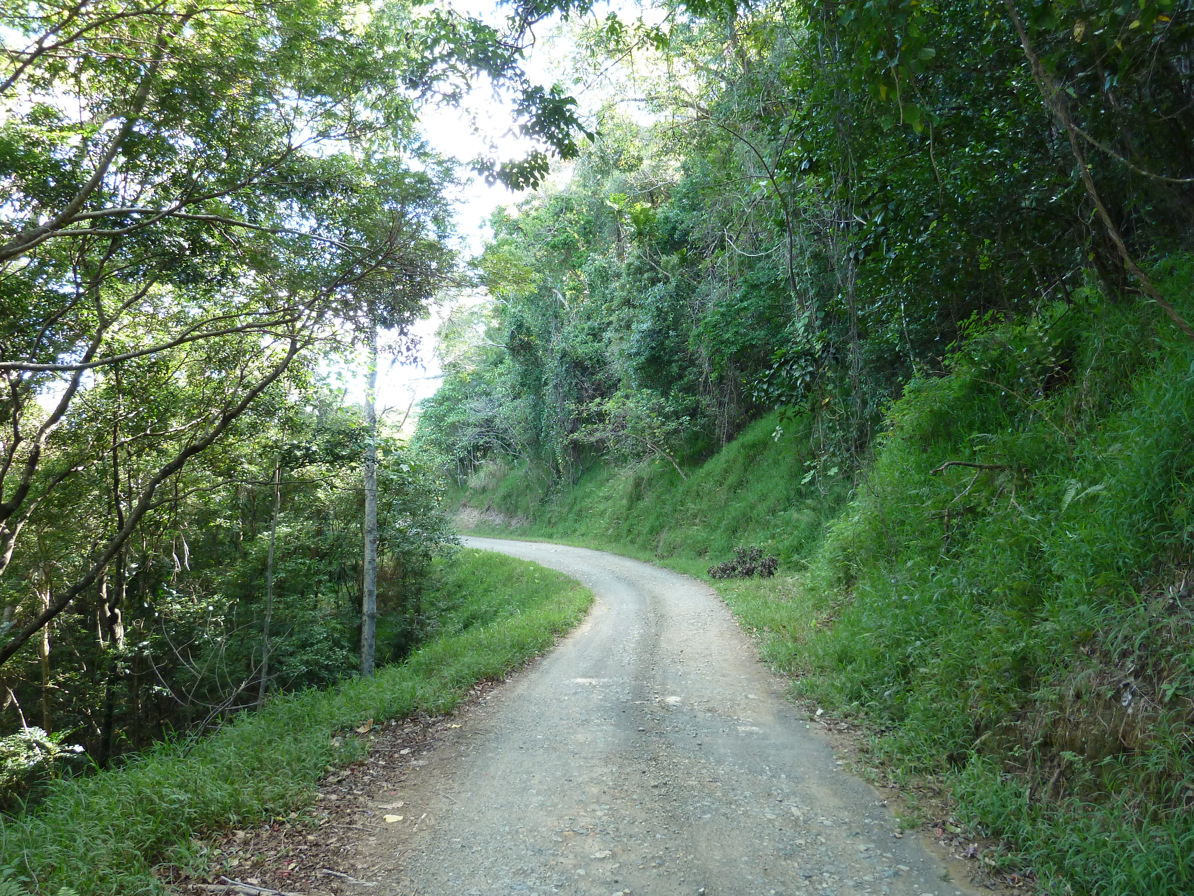 Picture New Caledonia Thio to Canala road 2010-05 59 - Around Thio to Canala road