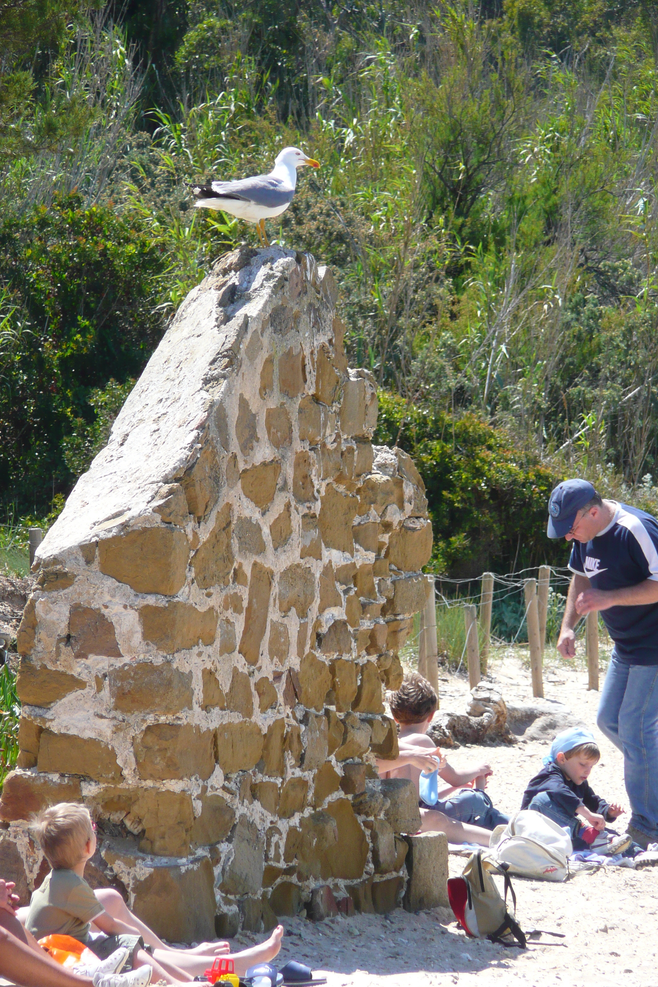 Picture France Porquerolles Island Courtade beach 2008-05 43 - History Courtade beach