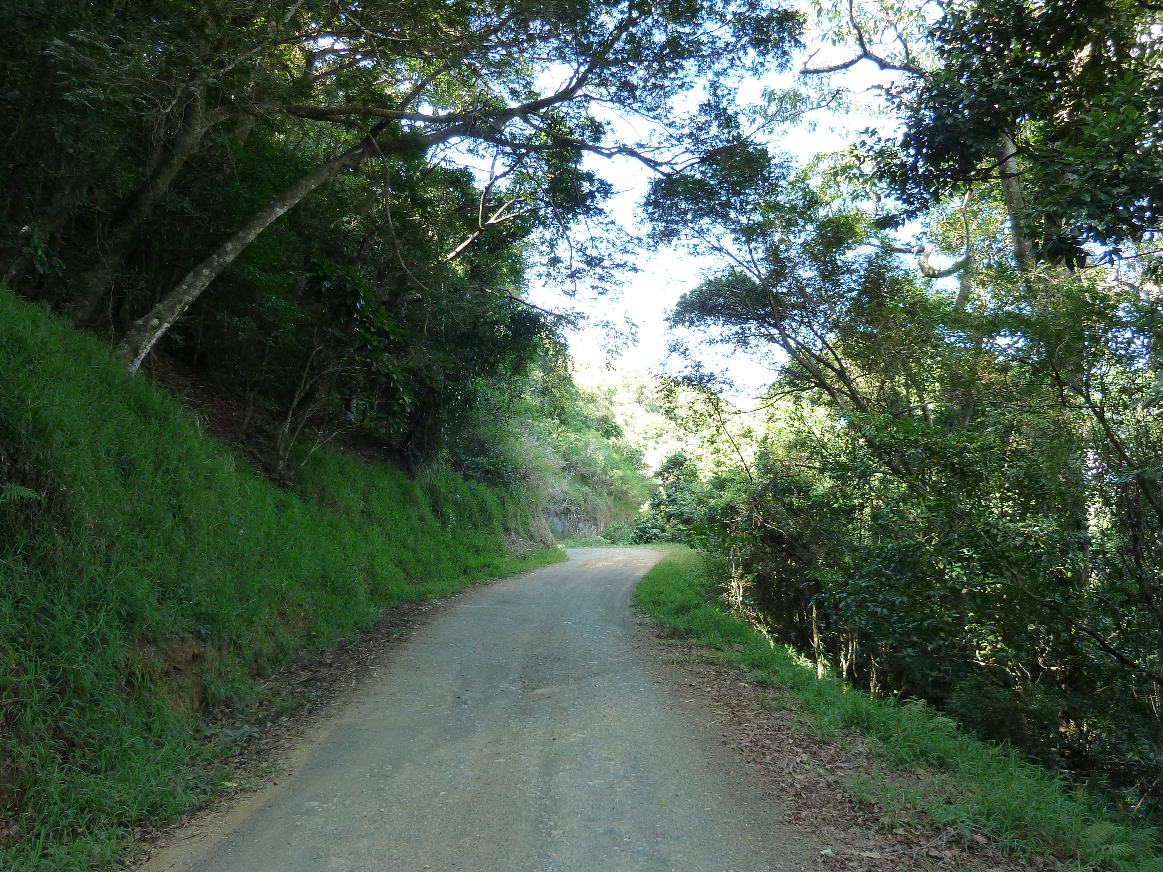 Picture New Caledonia Thio to Canala road 2010-05 54 - Tours Thio to Canala road