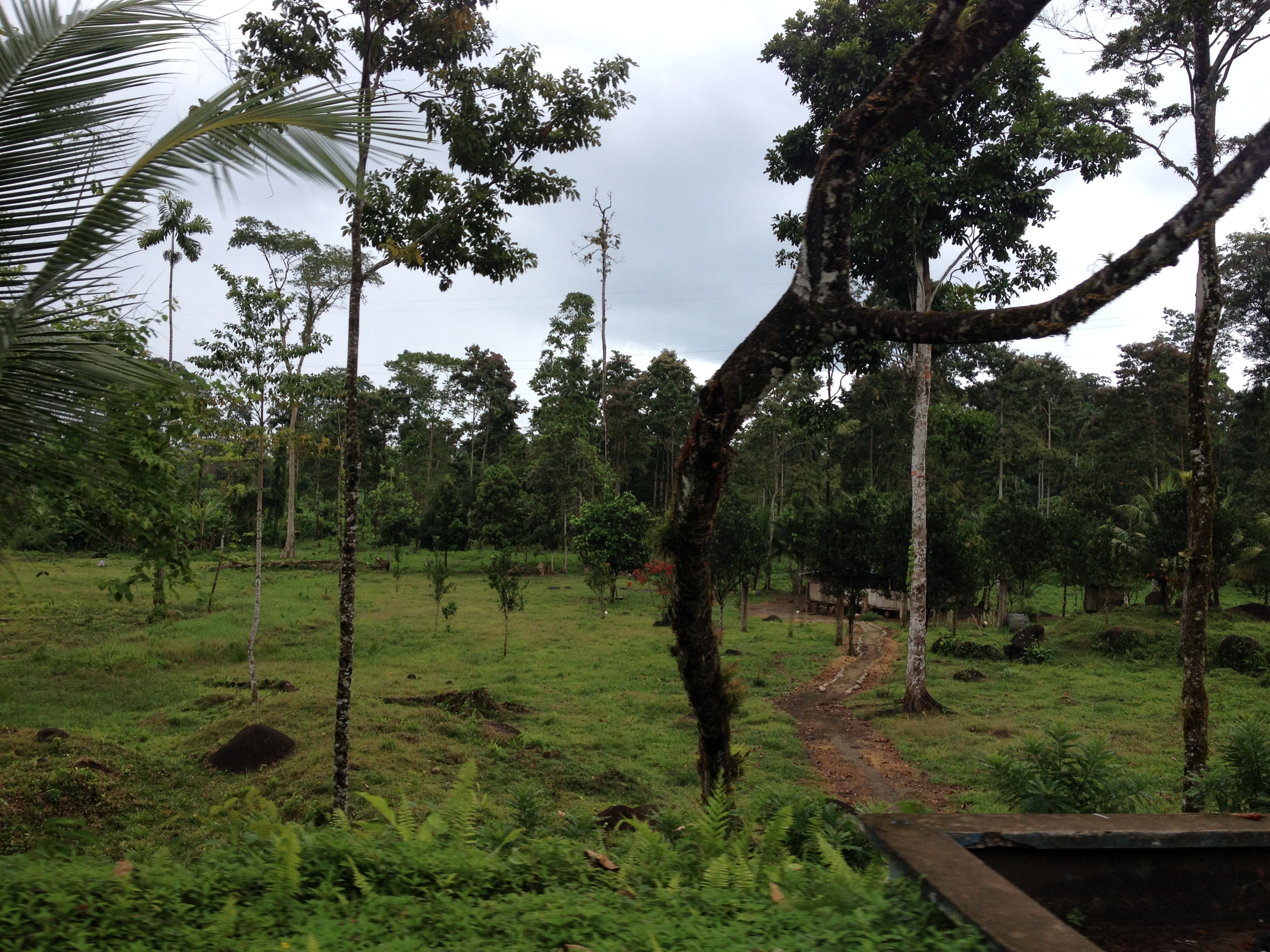 Picture Panama David to Bocas del toro 2015-03 61 - Recreation David to Bocas del toro