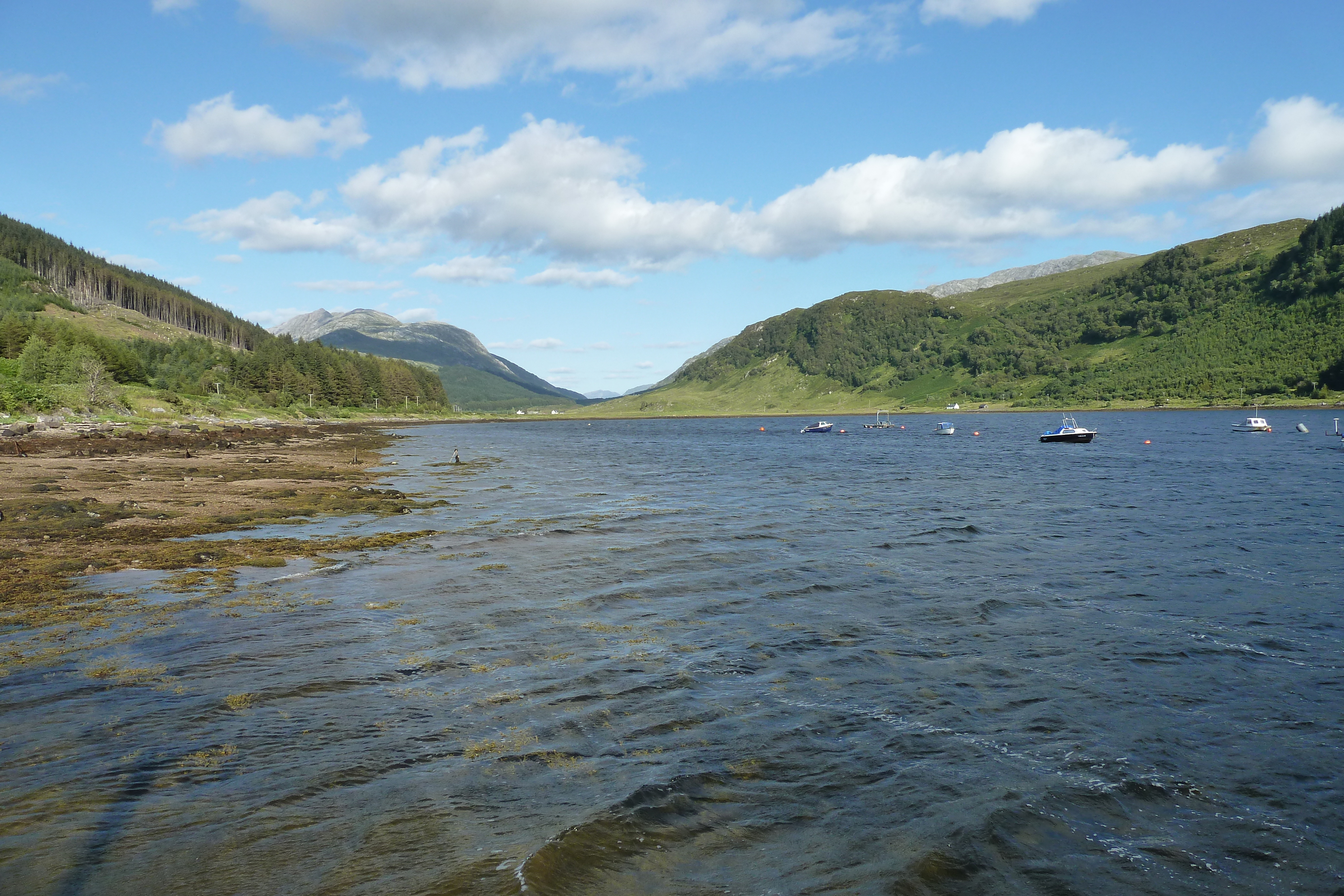 Picture United Kingdom Scotland Loch Linnhe 2011-07 64 - Discovery Loch Linnhe