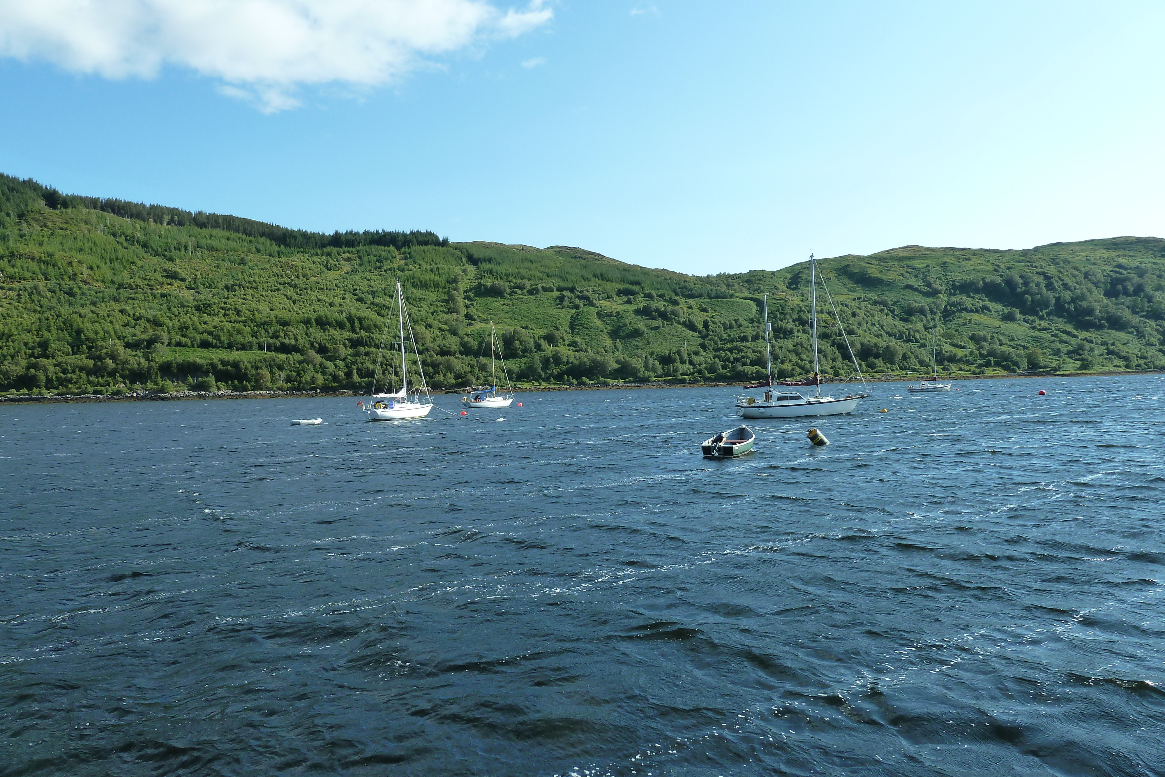 Picture United Kingdom Scotland Loch Linnhe 2011-07 67 - Tours Loch Linnhe