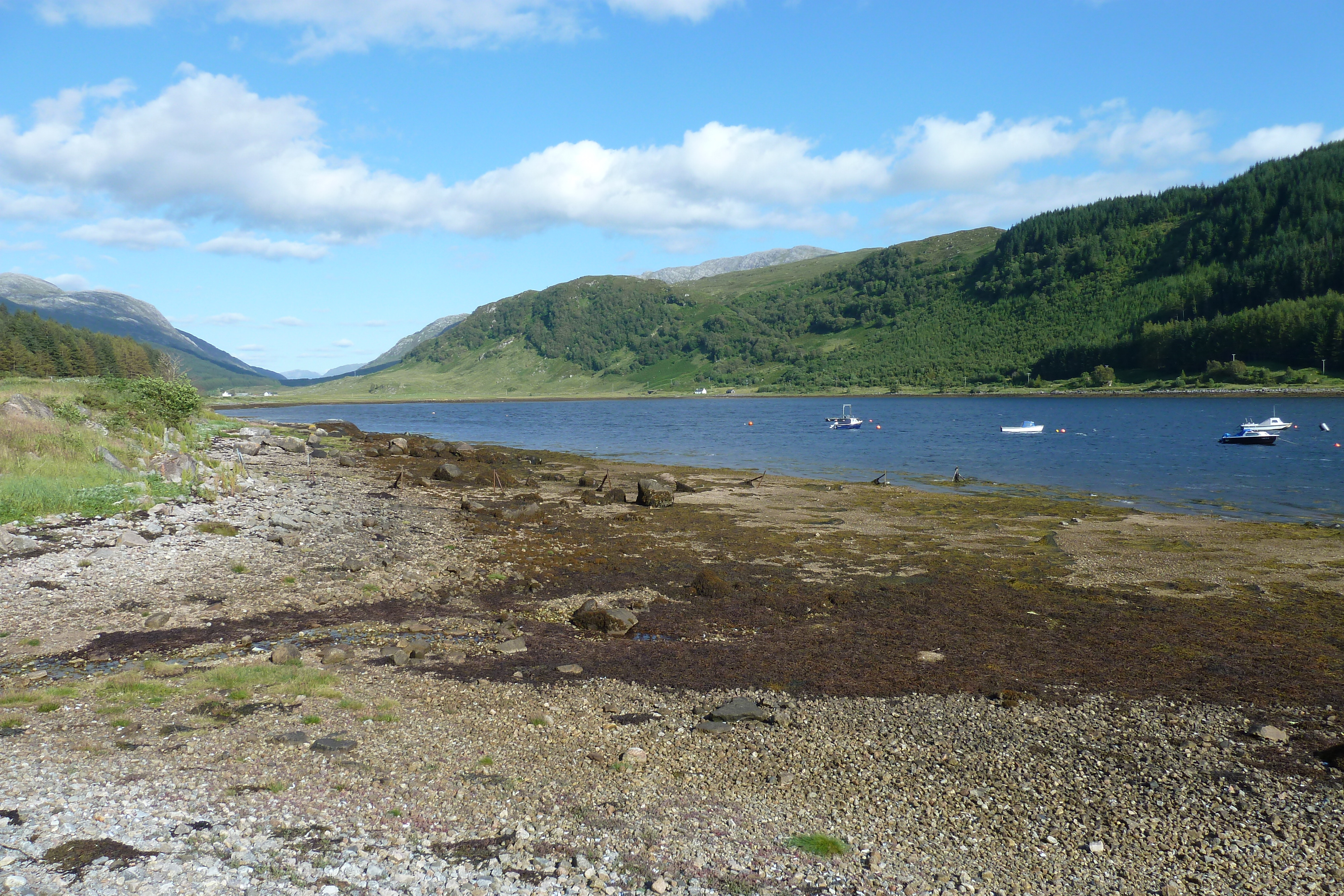 Picture United Kingdom Scotland Loch Linnhe 2011-07 89 - Discovery Loch Linnhe