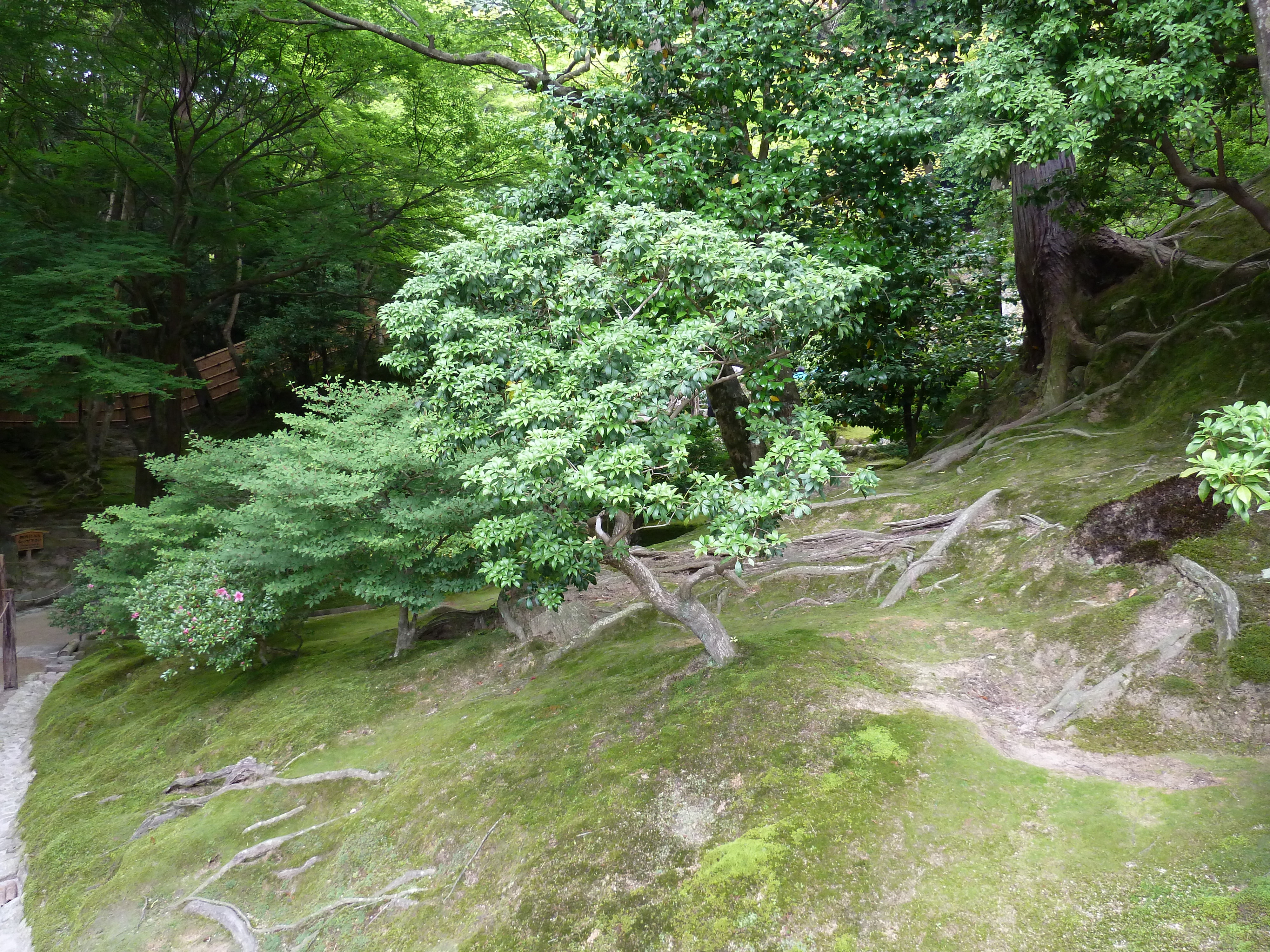 Picture Japan Kyoto Ginkakuji Temple(Silver Pavilion) 2010-06 59 - Discovery Ginkakuji Temple(Silver Pavilion)