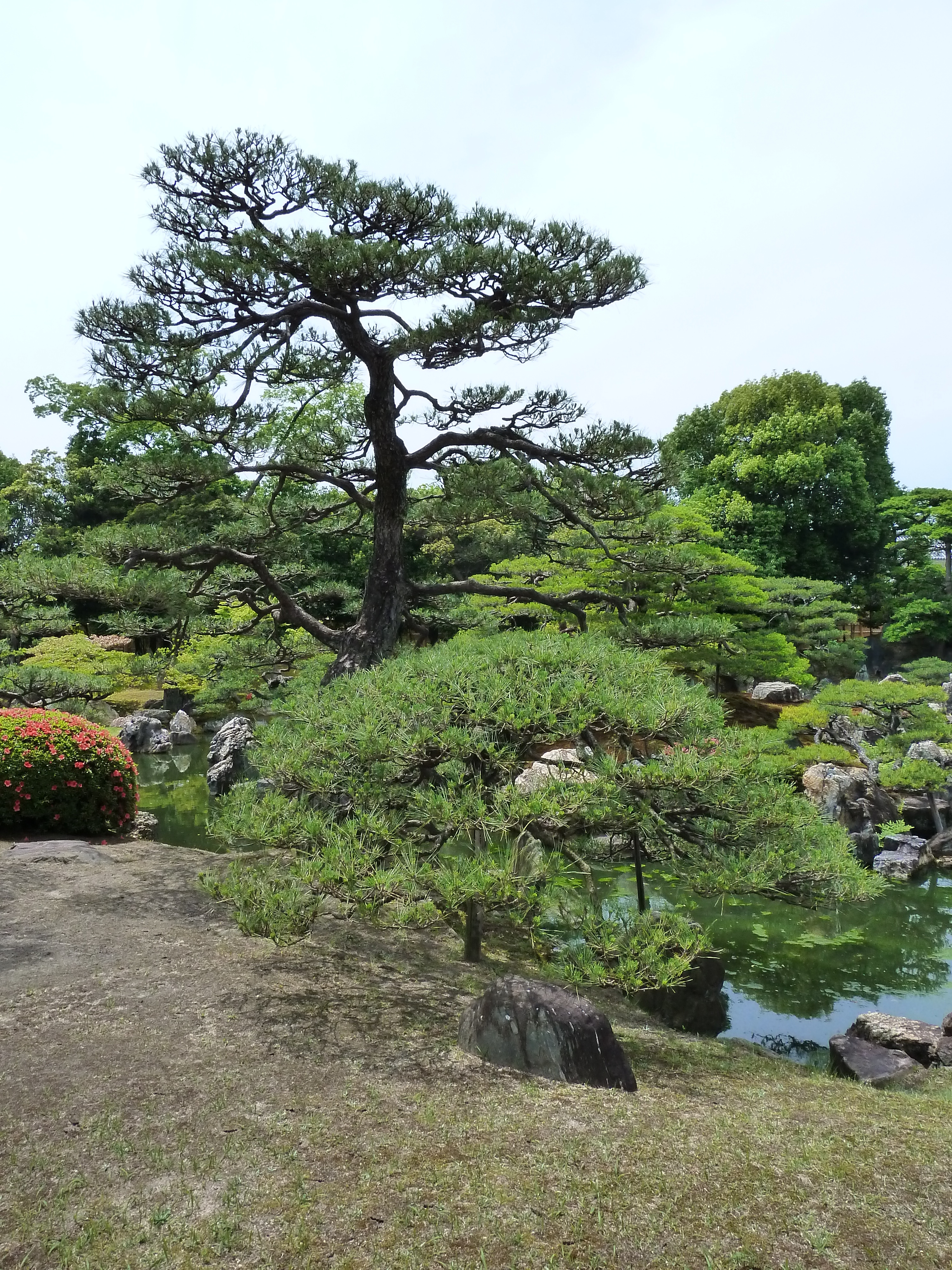 Picture Japan Kyoto Nijo Castle Ninomaru Garden 2010-06 22 - History Ninomaru Garden