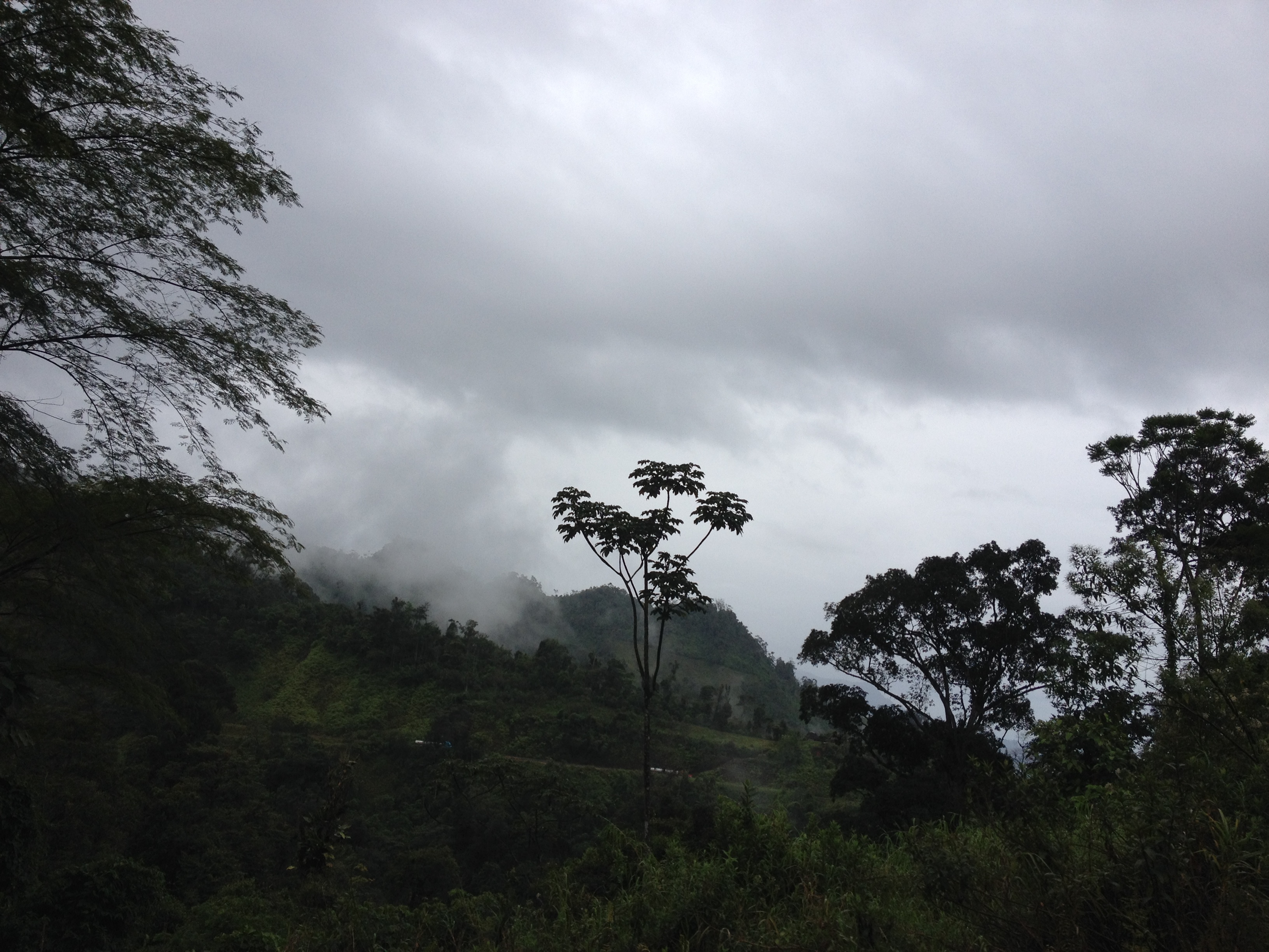 Picture Panama David to Bocas del toro 2015-03 52 - Tours David to Bocas del toro