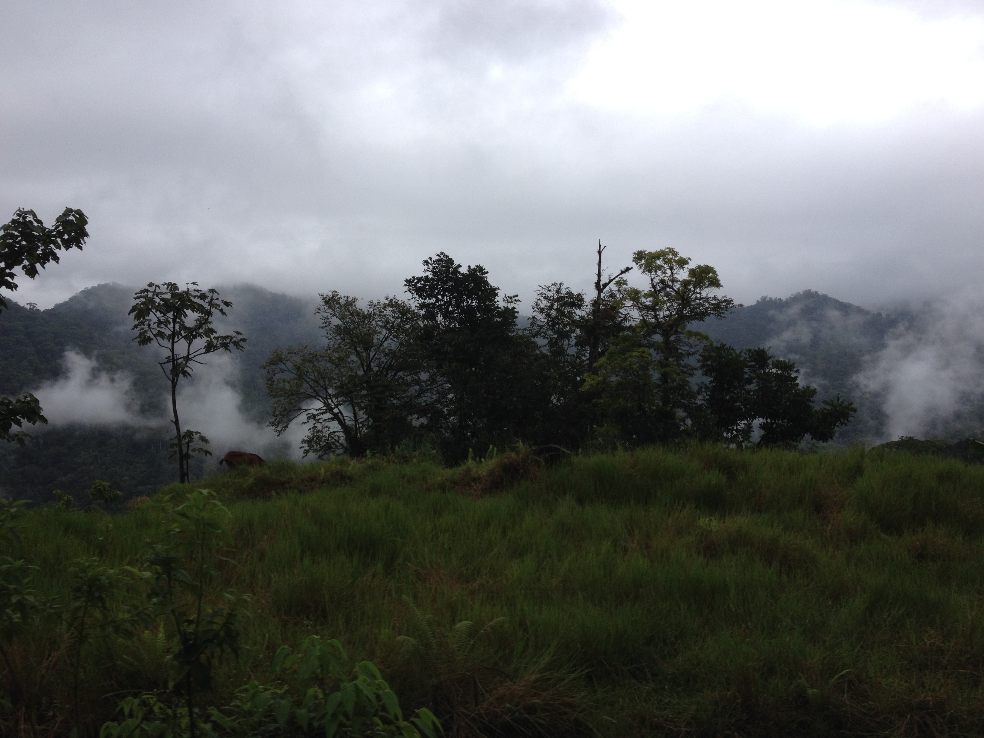 Picture Panama David to Bocas del toro 2015-03 57 - Journey David to Bocas del toro