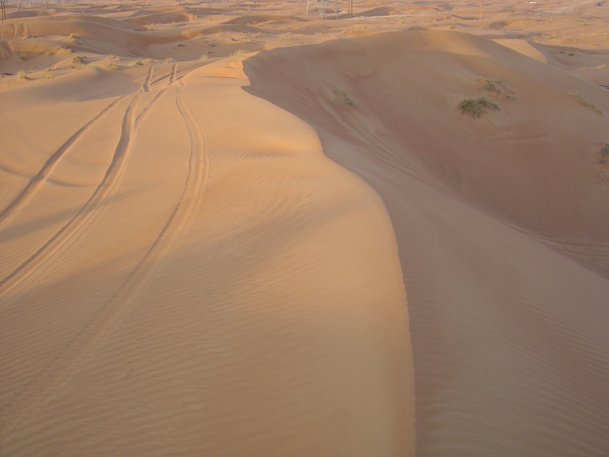 Picture United Arab Emirates Al Ain Desert 2005-11 7 - Around Desert