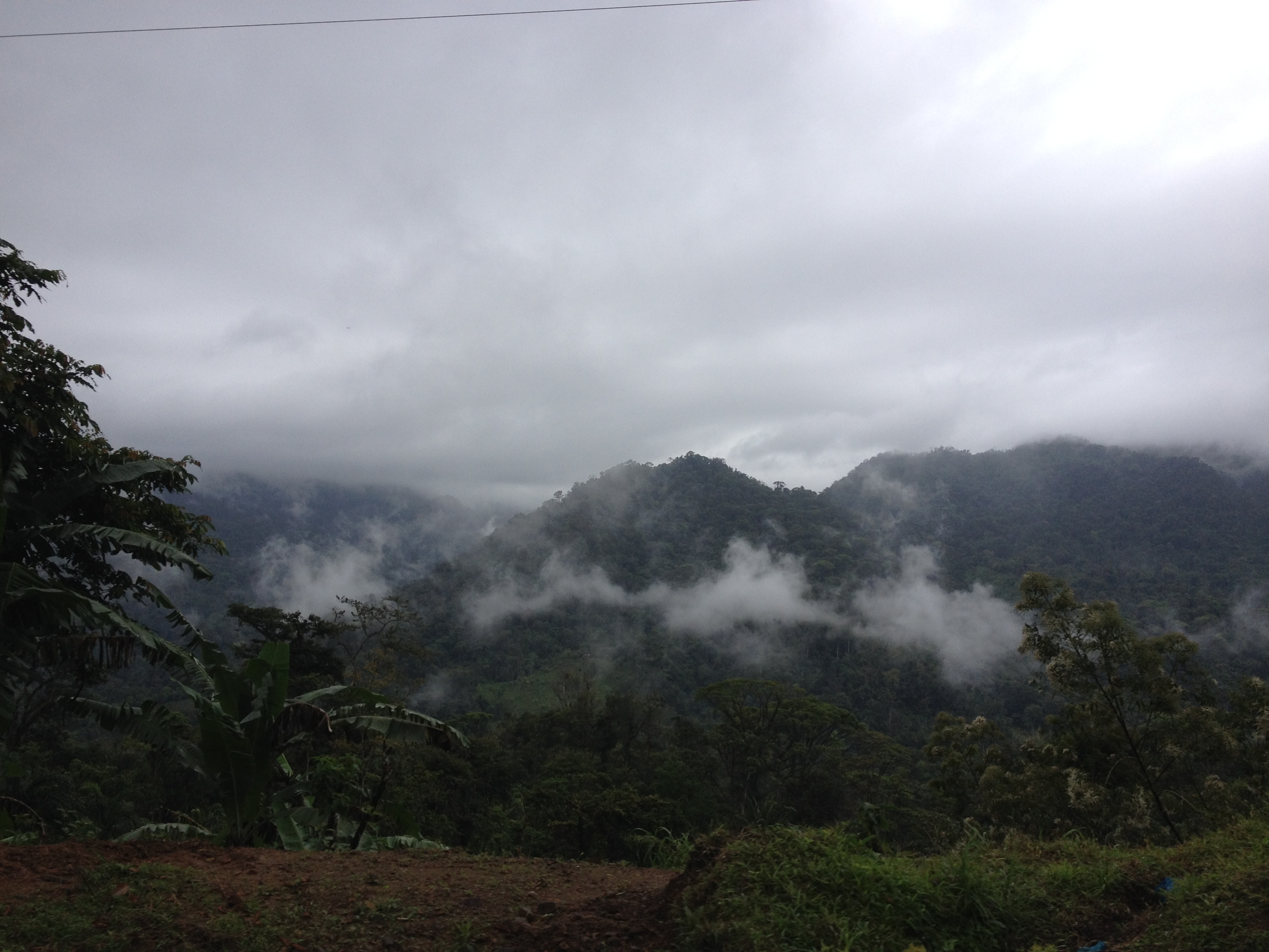 Picture Panama David to Bocas del toro 2015-03 47 - Tour David to Bocas del toro