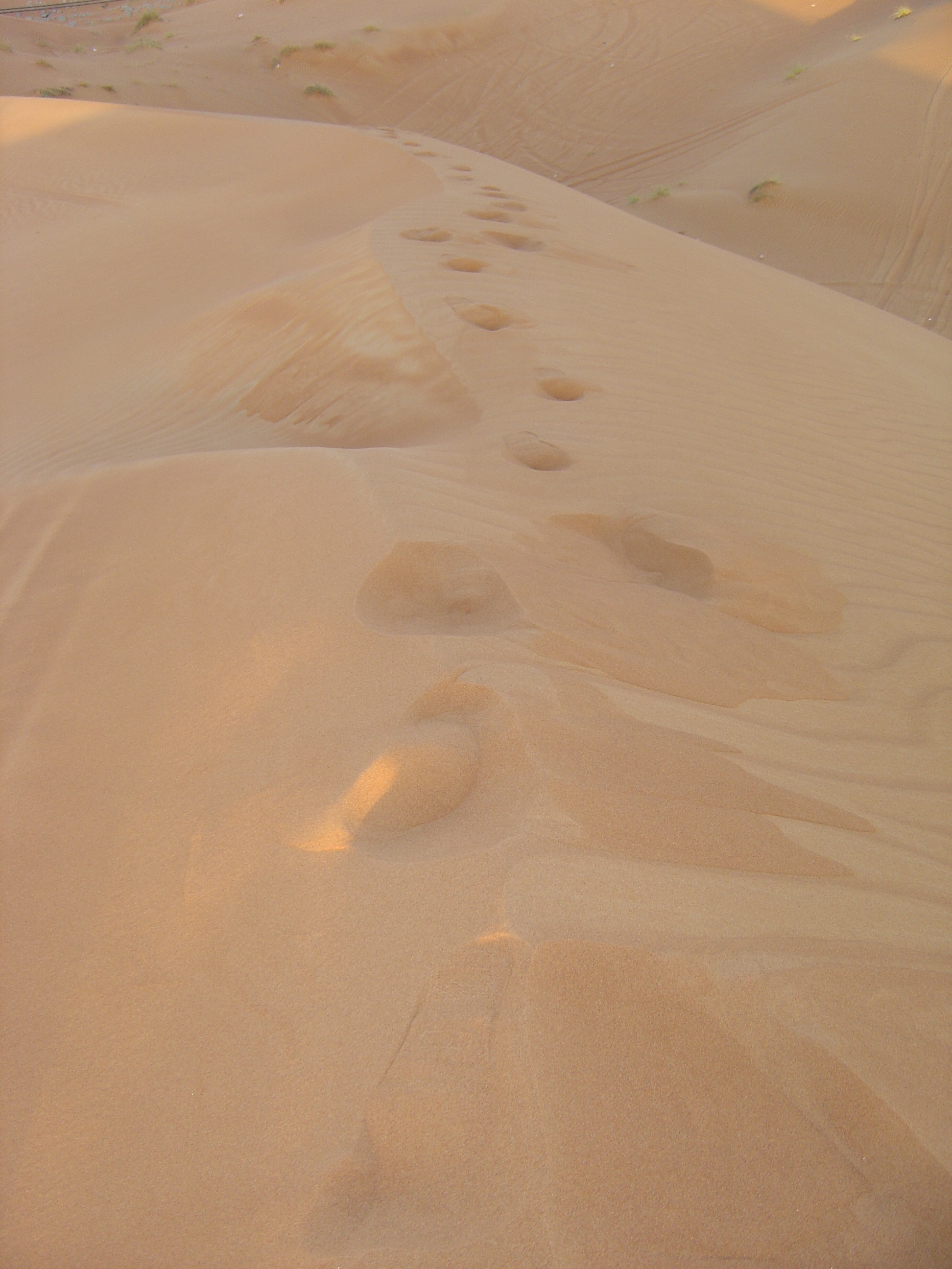 Picture United Arab Emirates Al Ain Desert 2005-11 1 - Center Desert