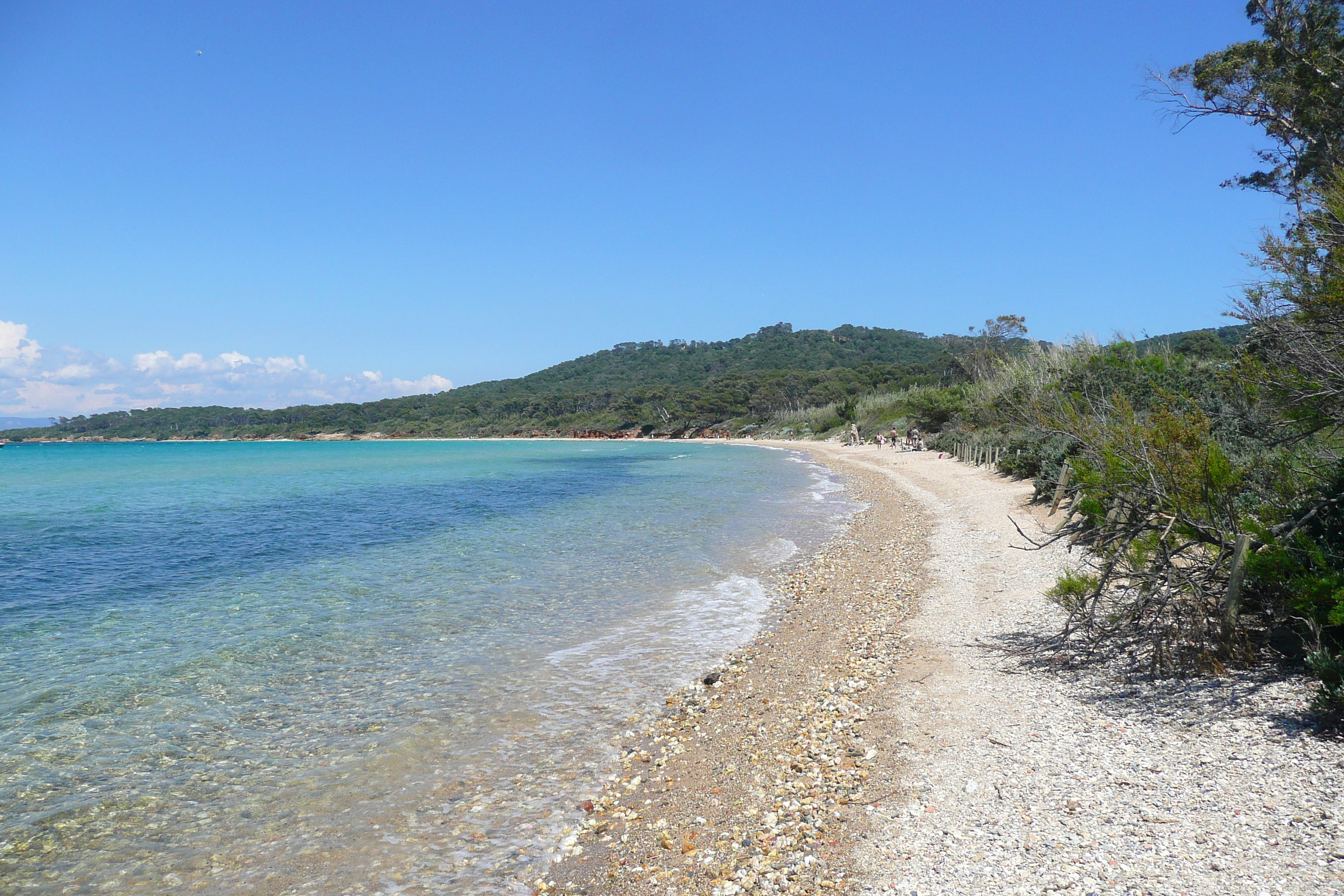 Picture France Porquerolles Island Courtade beach 2008-05 17 - Recreation Courtade beach