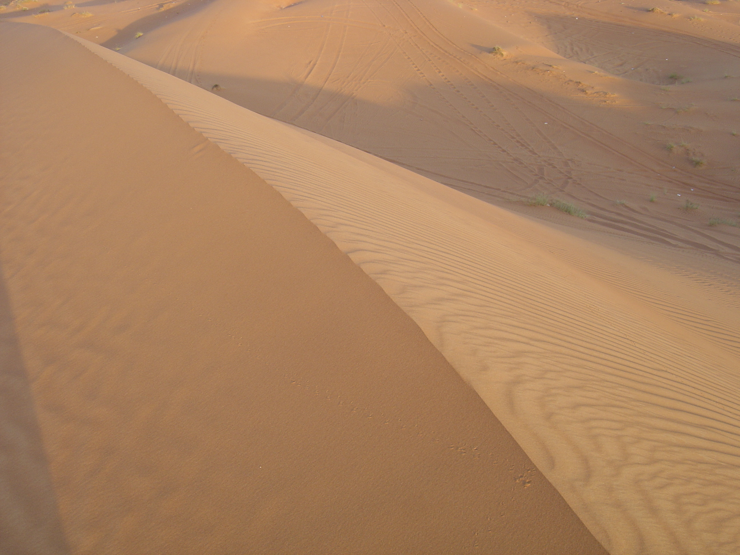 Picture United Arab Emirates Al Ain Desert 2005-11 0 - Around Desert