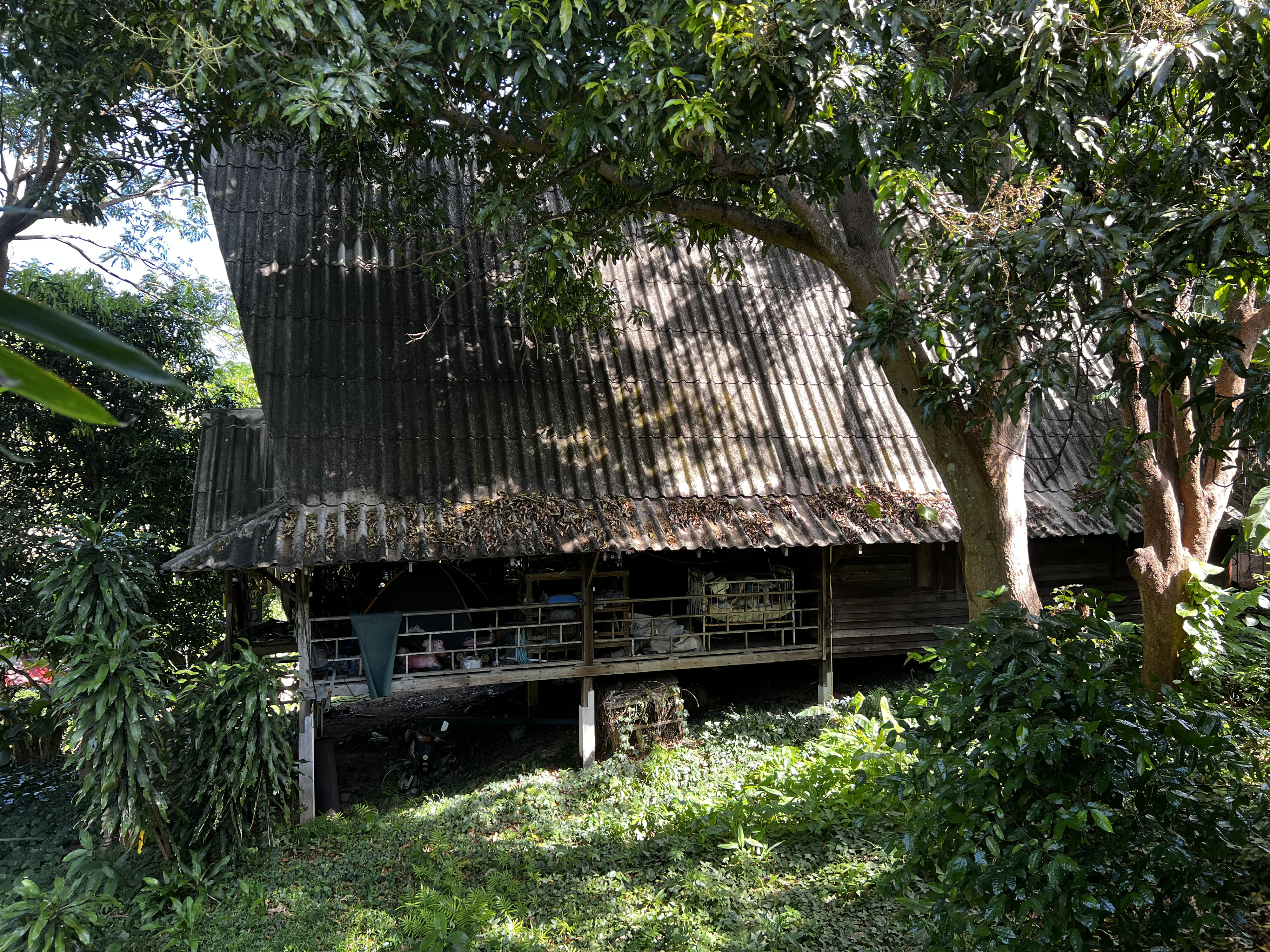 Picture Thailand Phuket Kata Beach Kata Garden Resort 2021-12 1 - Around Kata Garden Resort