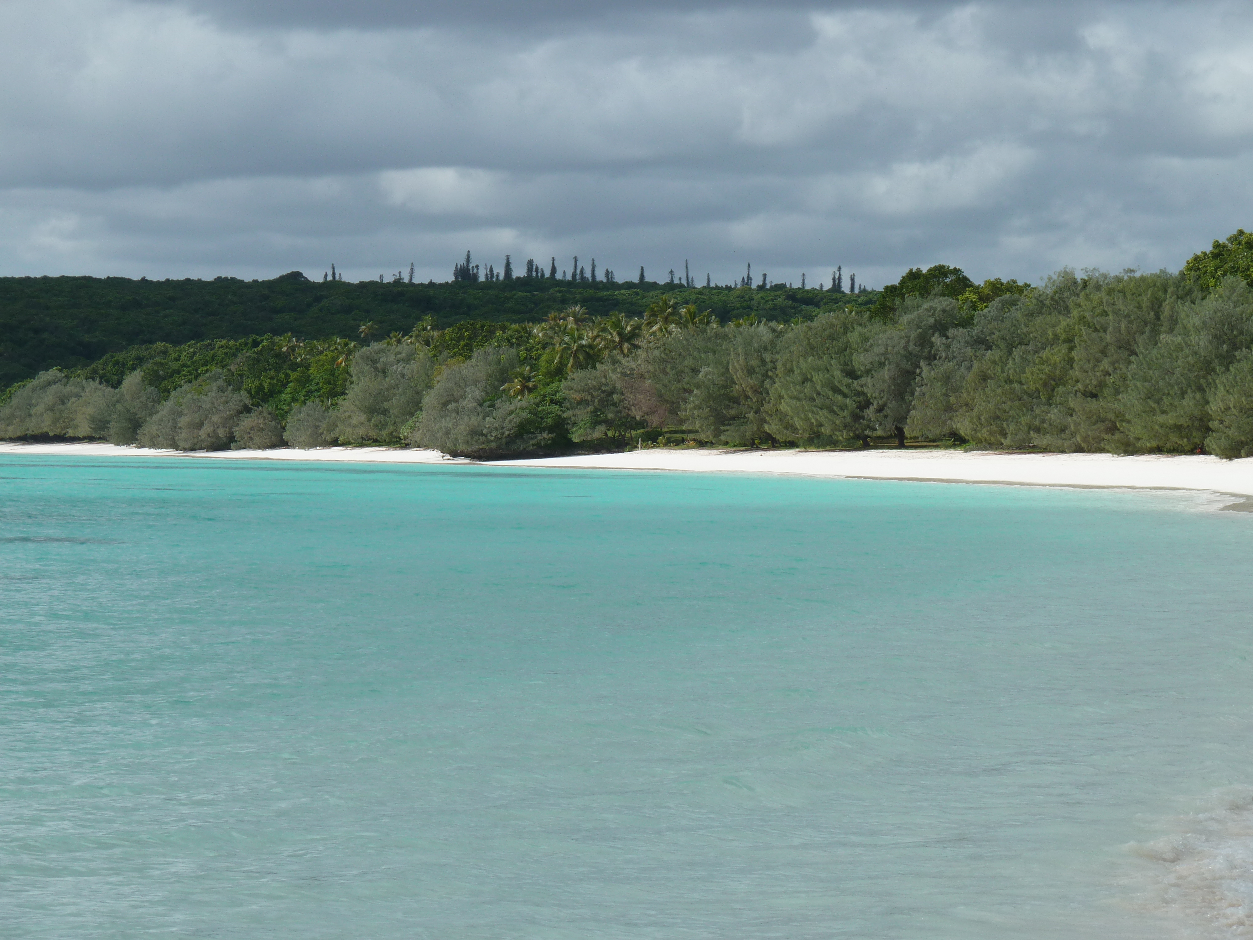 Picture New Caledonia Lifou Luengoni Beach 2010-05 25 - Discovery Luengoni Beach