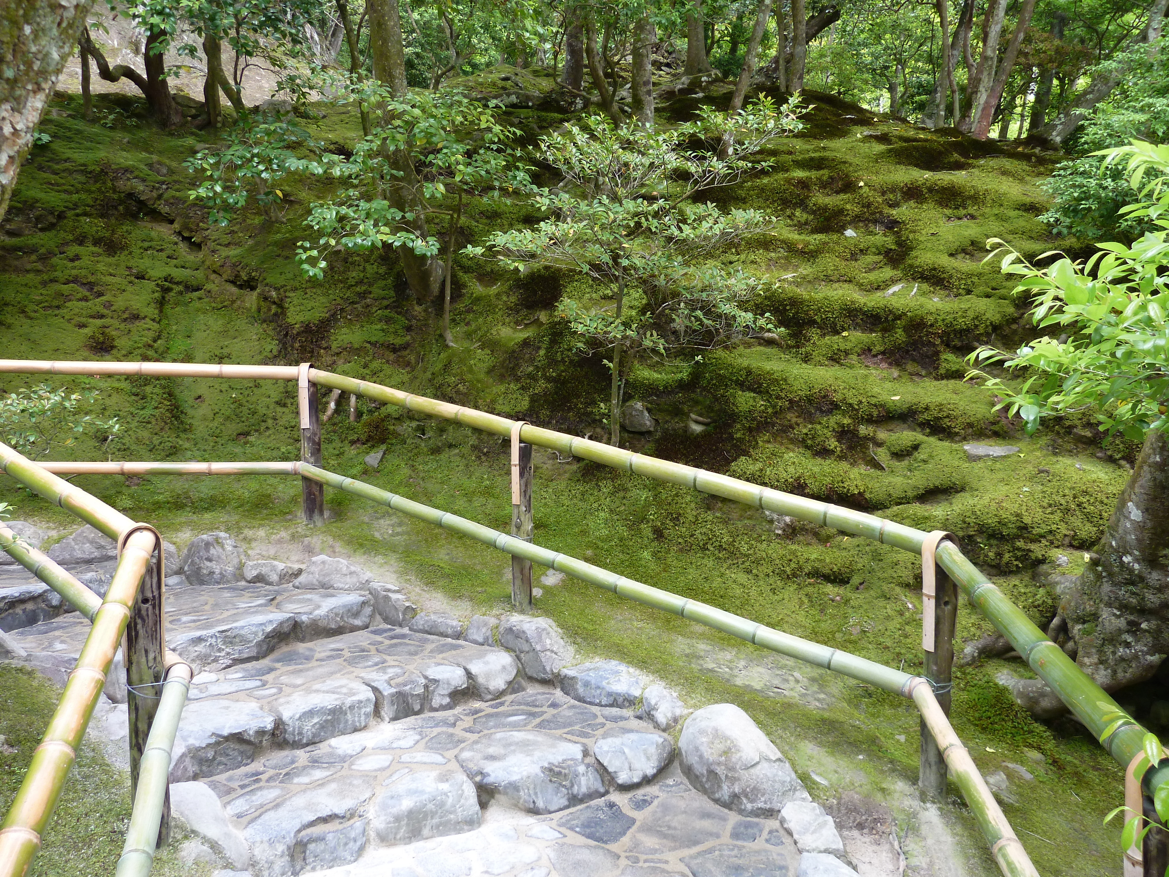 Picture Japan Kyoto Ginkakuji Temple(Silver Pavilion) 2010-06 20 - Tours Ginkakuji Temple(Silver Pavilion)