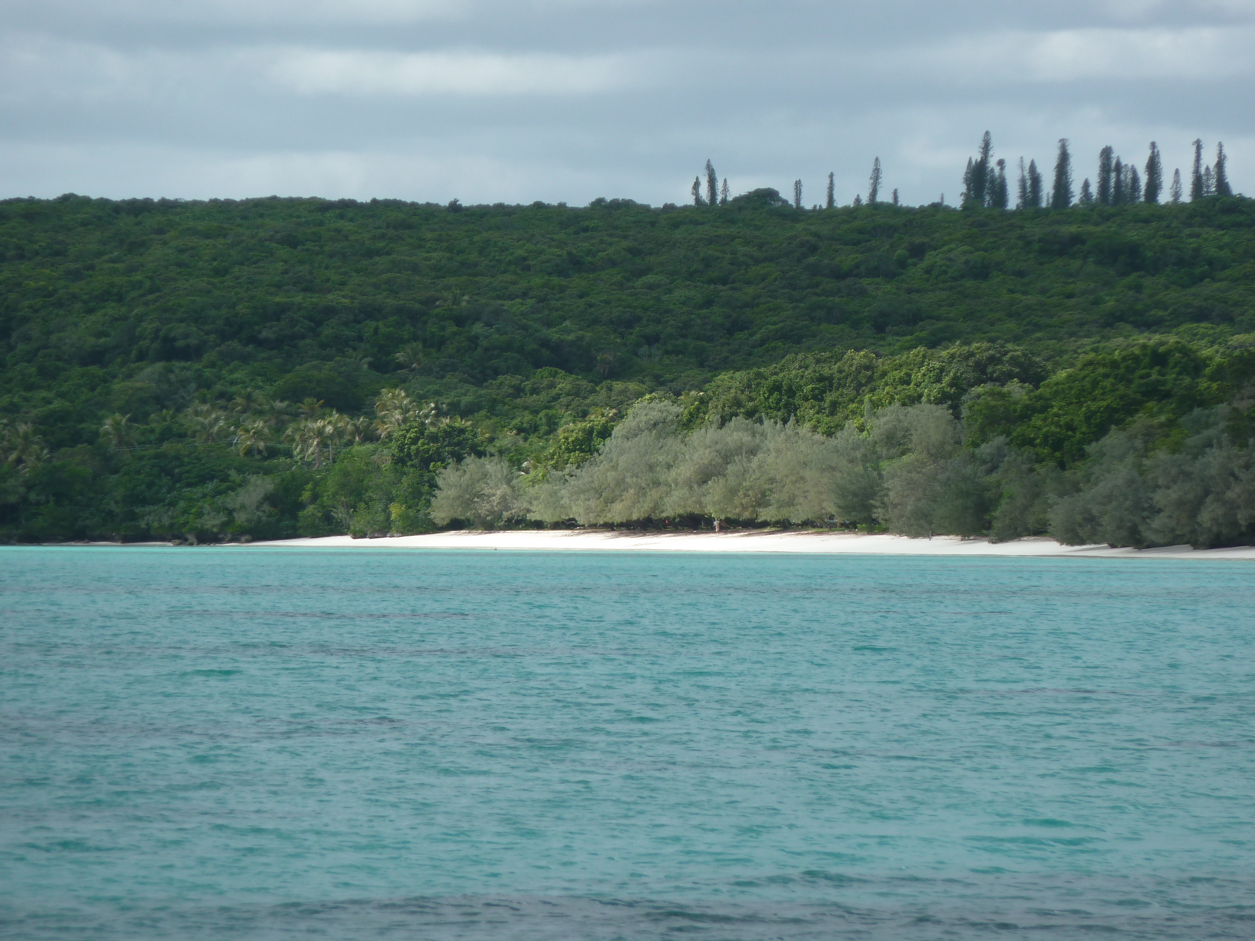 Picture New Caledonia Lifou Luengoni Beach 2010-05 37 - Around Luengoni Beach