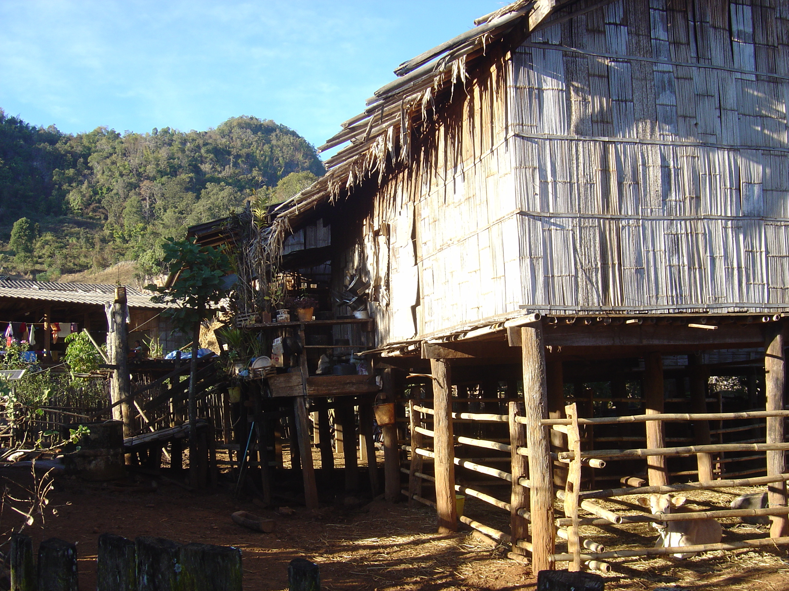 Picture Thailand Pang ma pha 2005-12 71 - Tour Pang ma pha