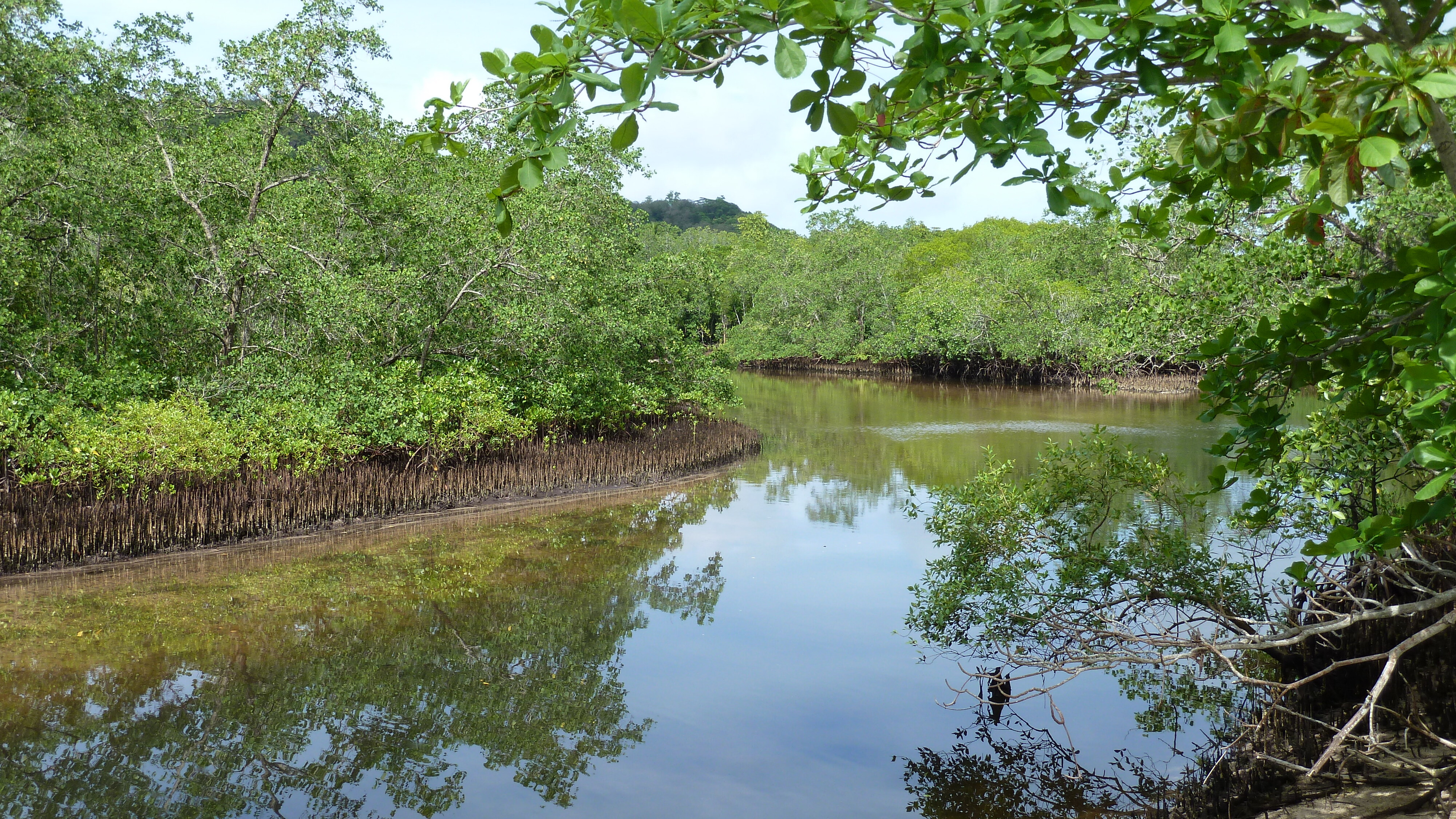 Picture Seychelles Mahe 2011-10 174 - History Mahe