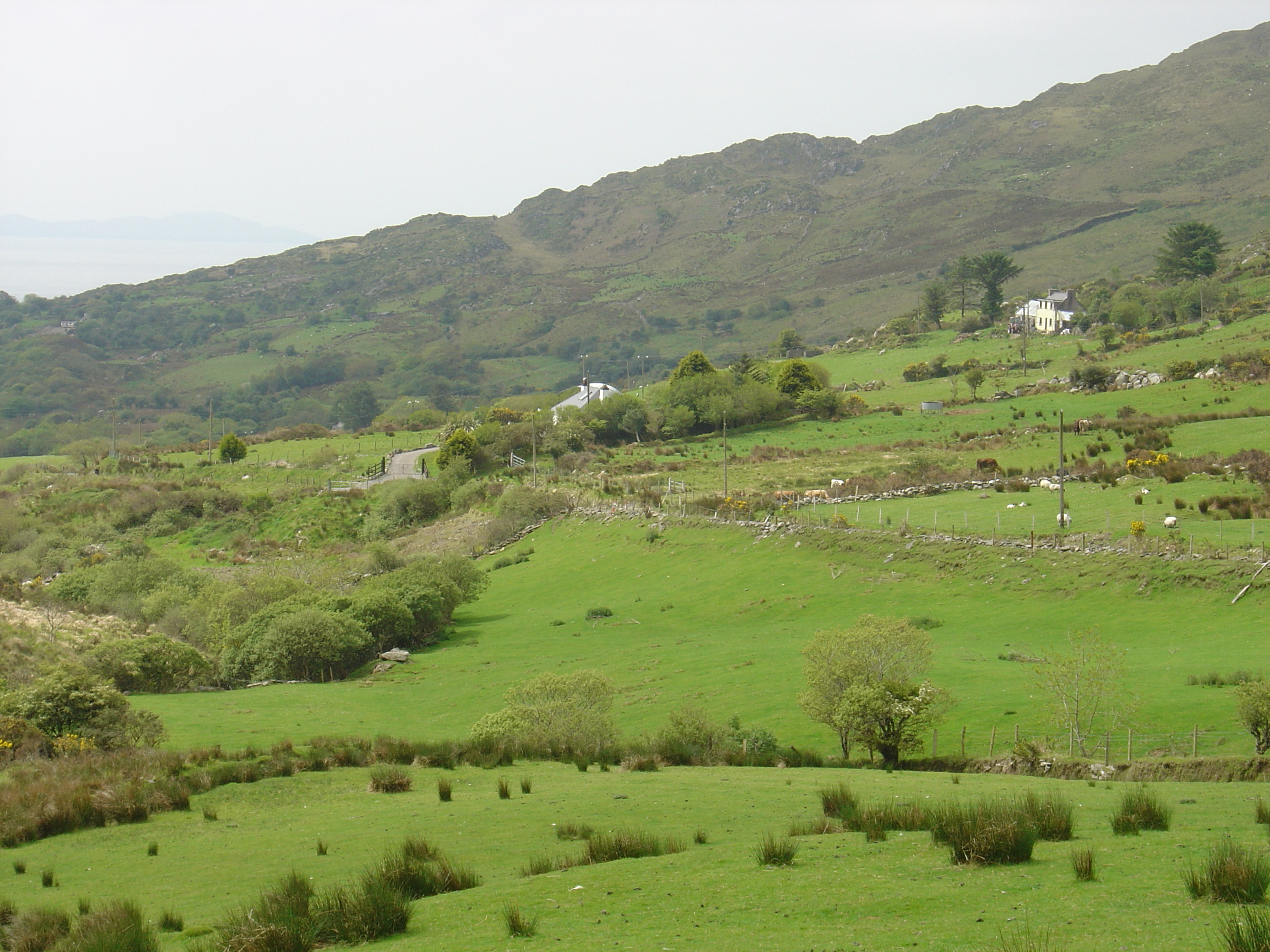 Picture Ireland Kerry Ring Staigue Fort 2004-05 21 - Center Staigue Fort