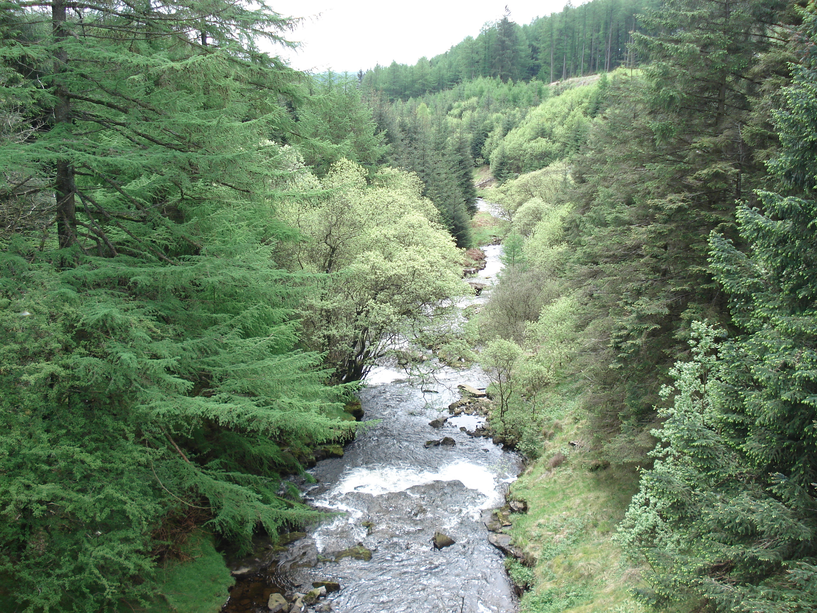 Picture United Kingdom Brecon Beacons National Parc 2006-05 68 - Discovery Brecon Beacons National Parc