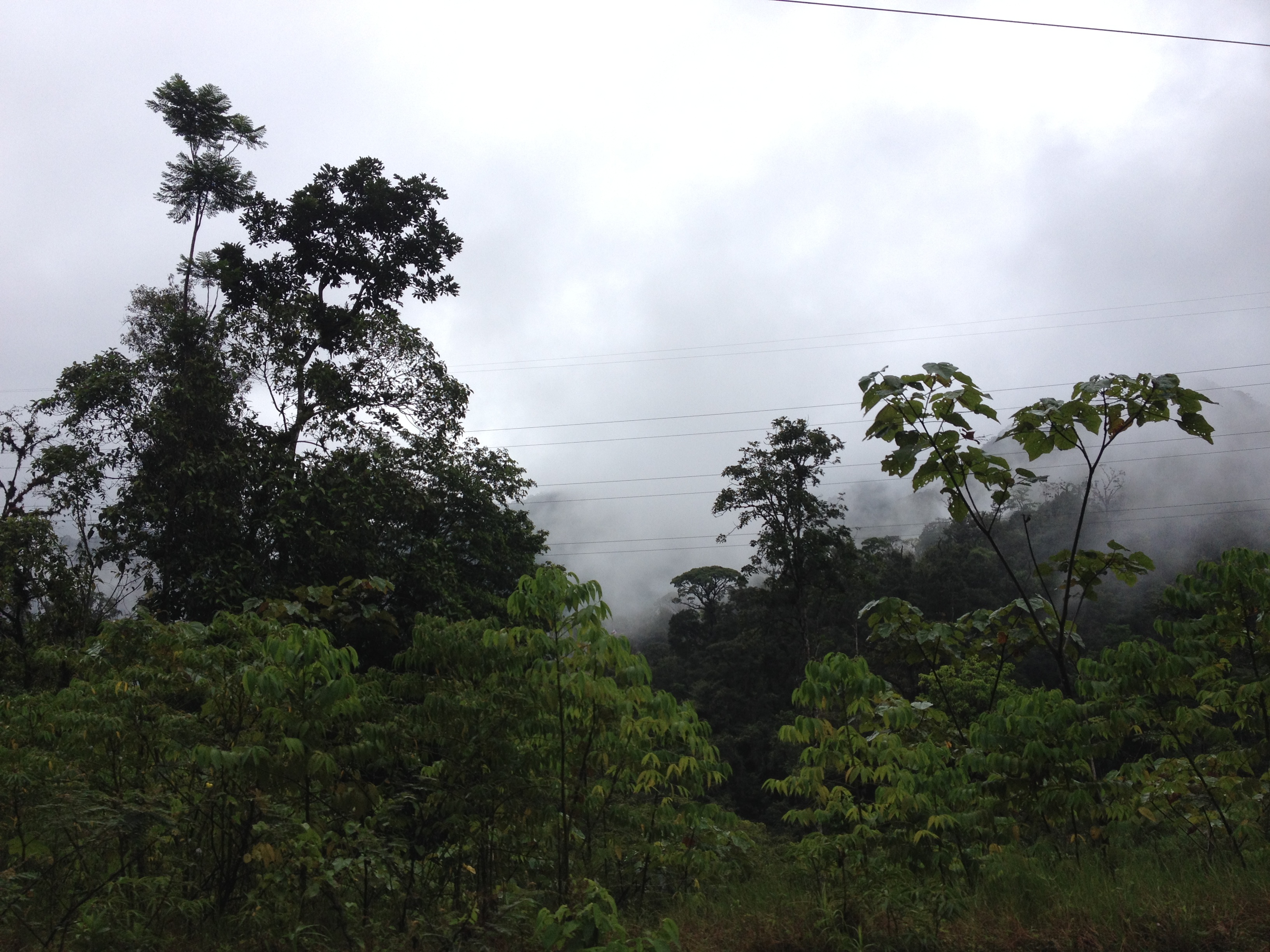 Picture Panama David to Bocas del toro 2015-03 56 - Recreation David to Bocas del toro