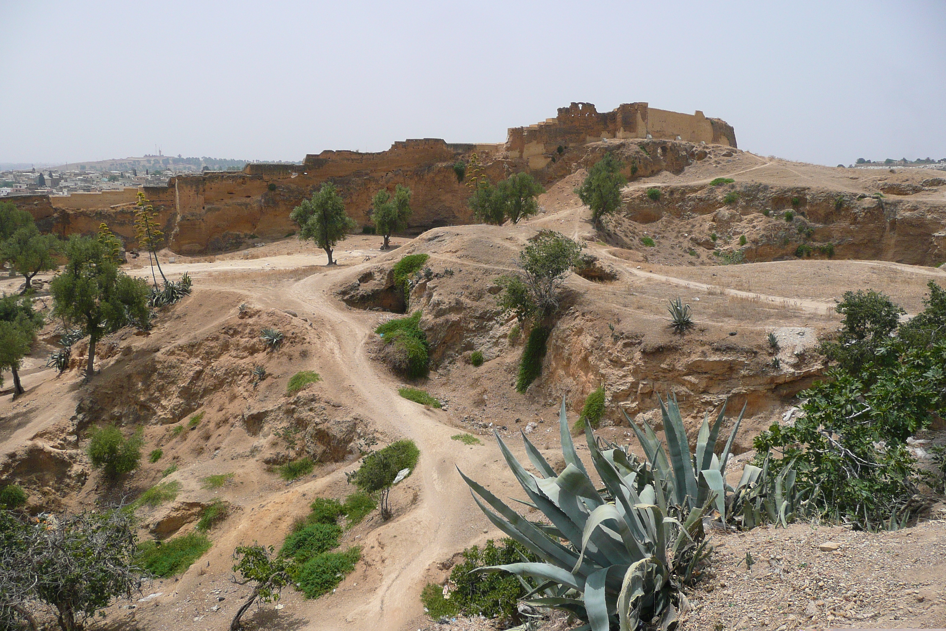 Picture Morocco Fes to Rabat Road 2008-07 1 - Tour Fes to Rabat Road