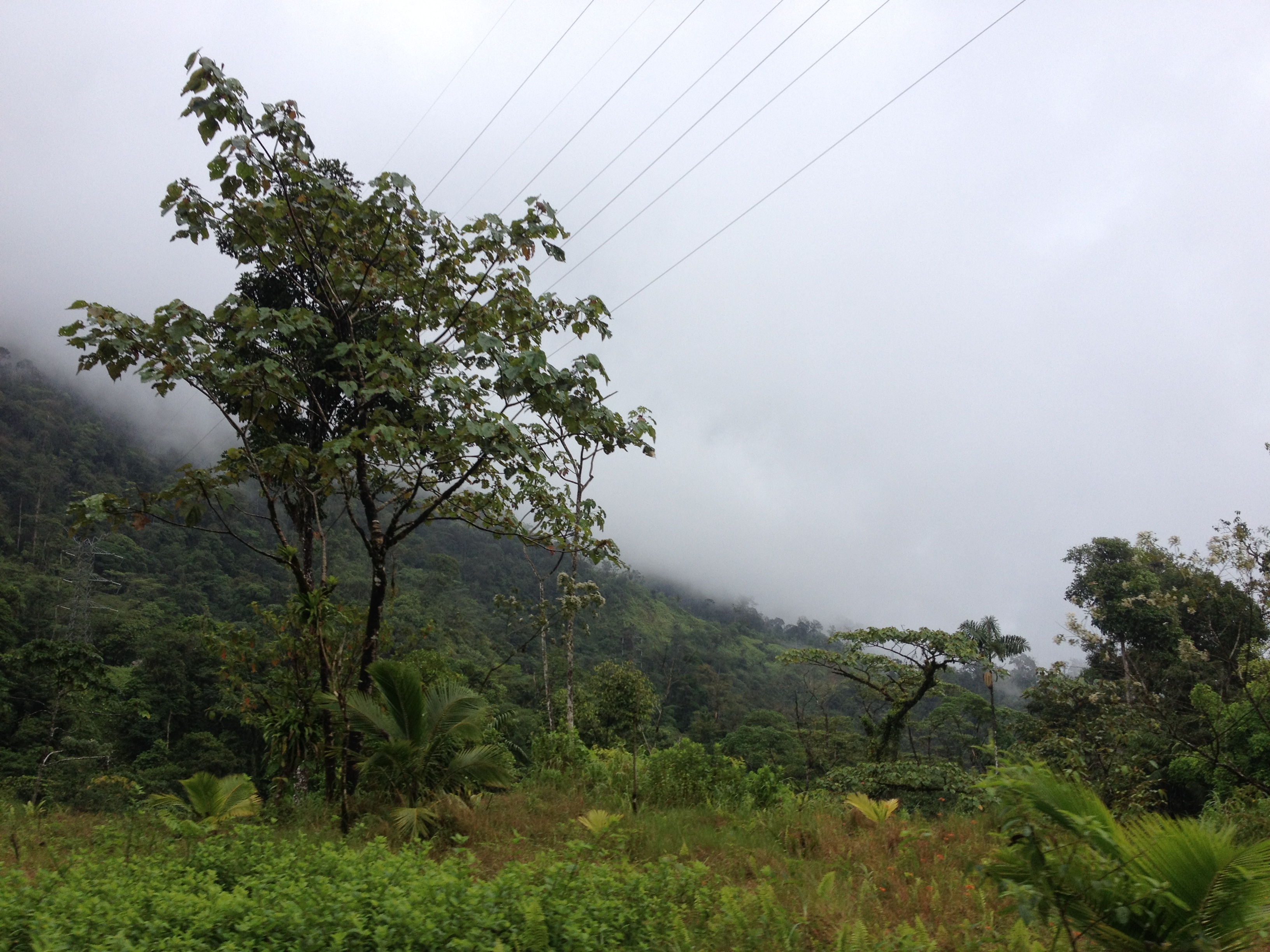 Picture Panama David to Bocas del toro 2015-03 70 - Center David to Bocas del toro