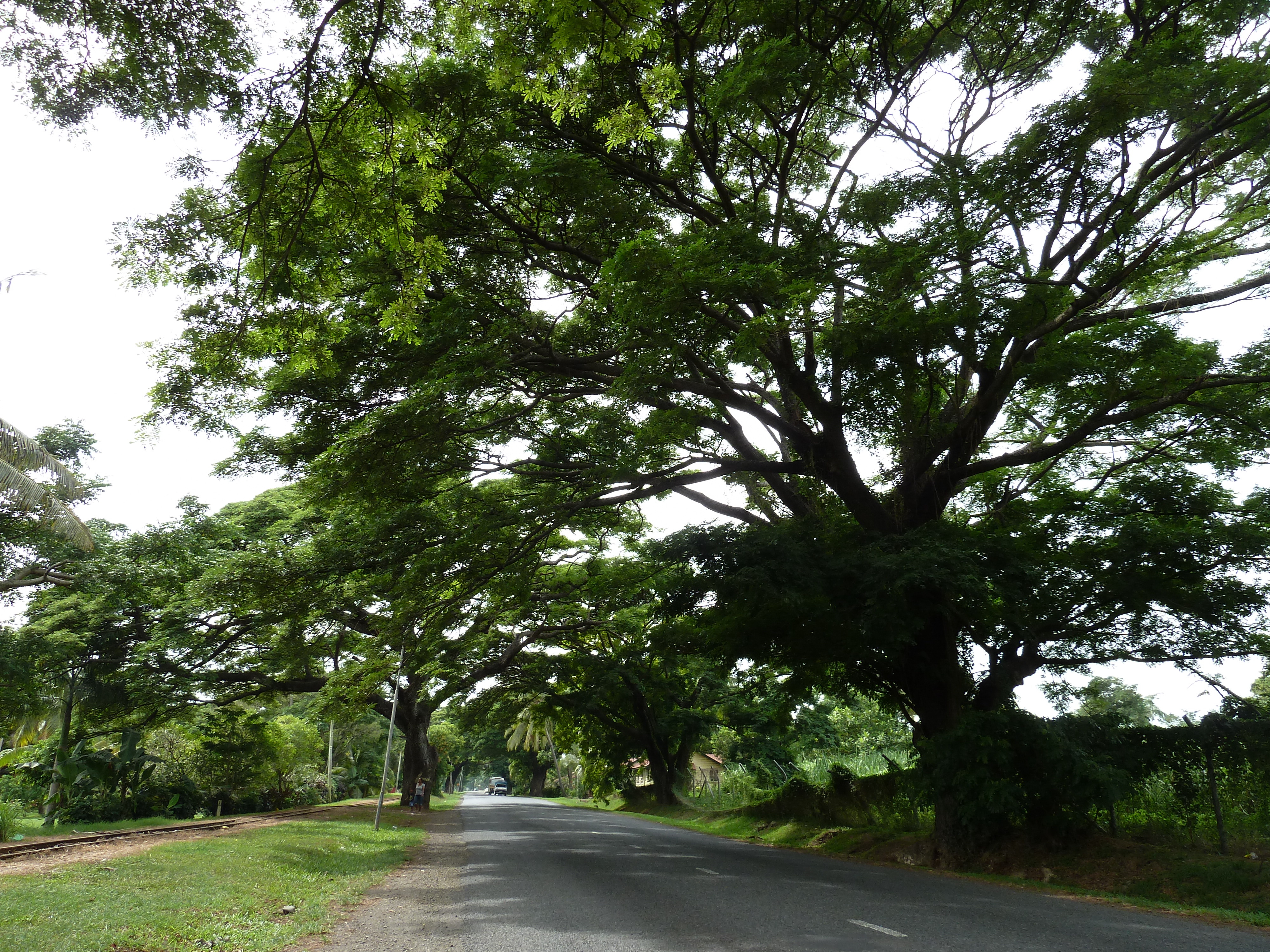 Picture Fiji Lautoka 2010-05 11 - Journey Lautoka