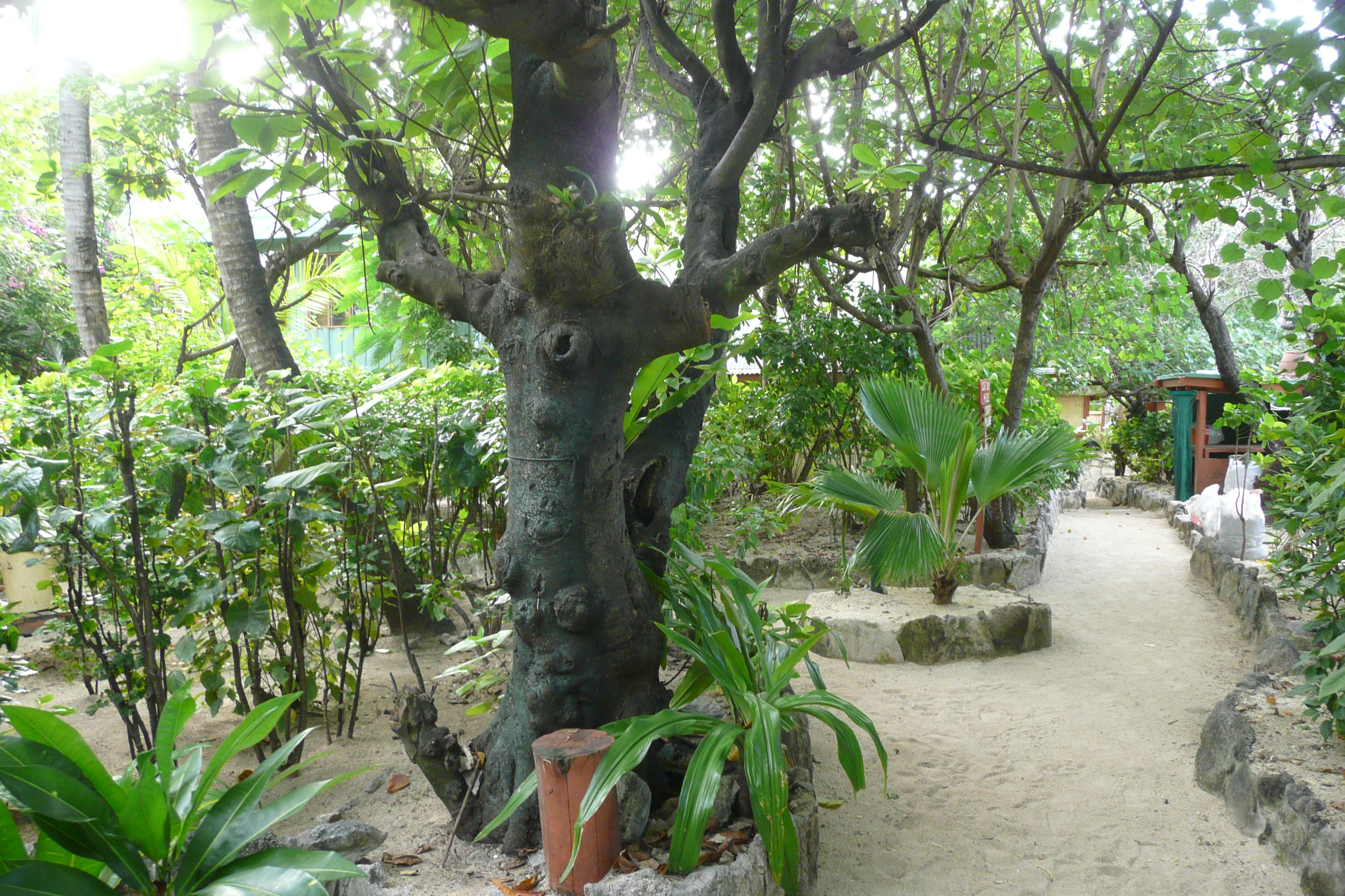 Picture Fiji Beachcomber Island 2010-05 49 - Tour Beachcomber Island