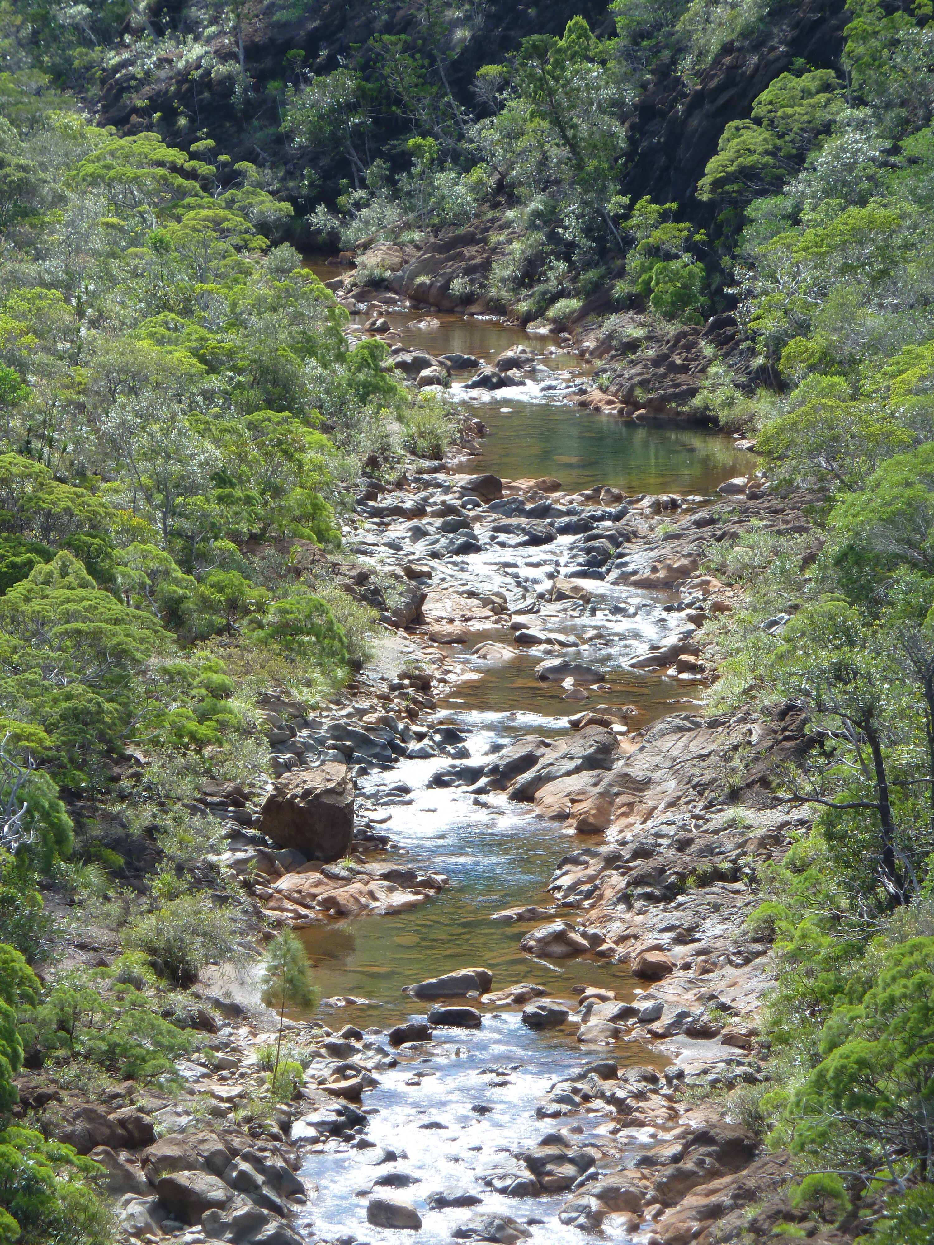 Picture New Caledonia Thio to Canala road 2010-05 23 - Tours Thio to Canala road