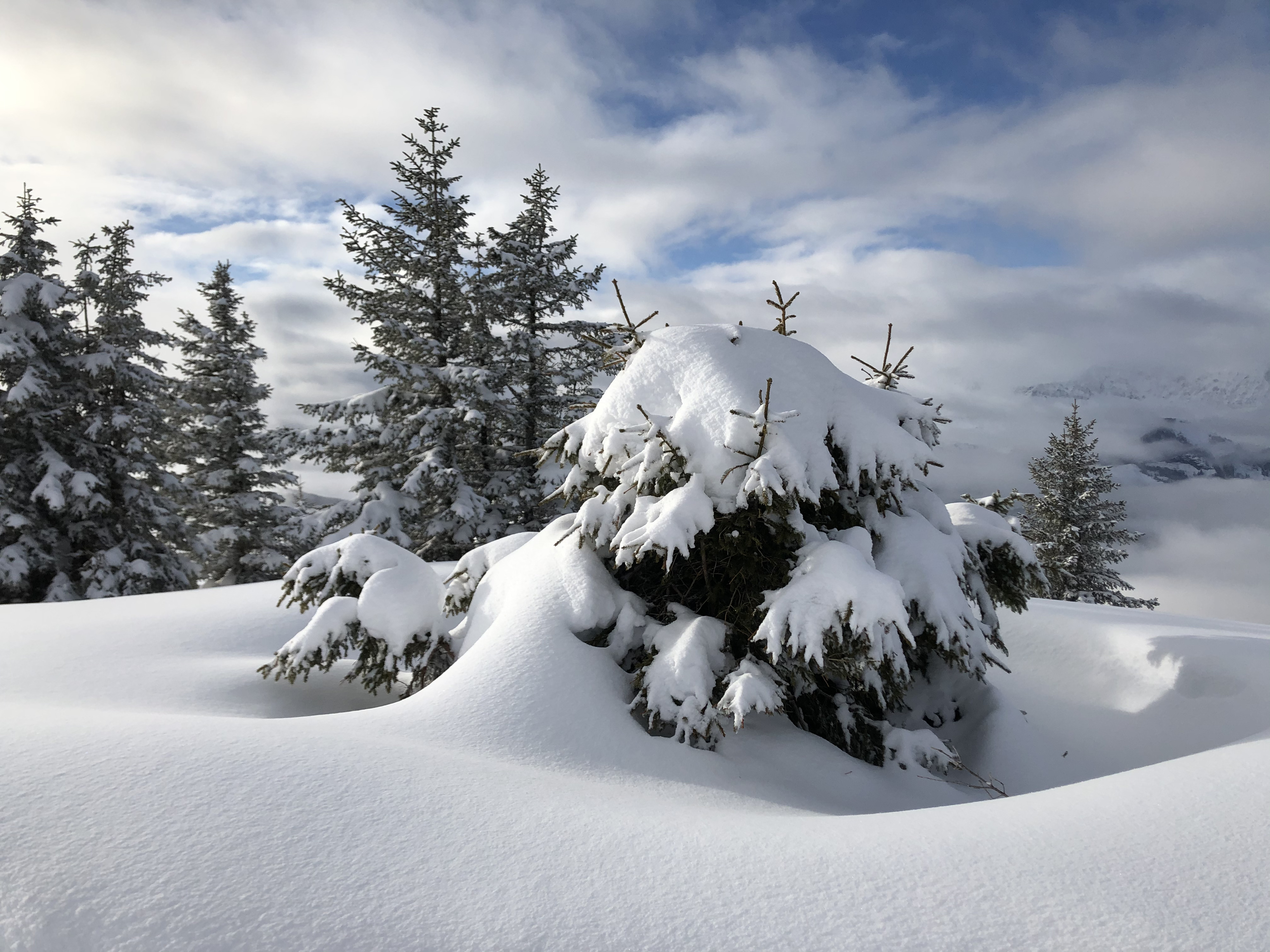 Picture France Praz sur Arly 2019-12 271 - Journey Praz sur Arly