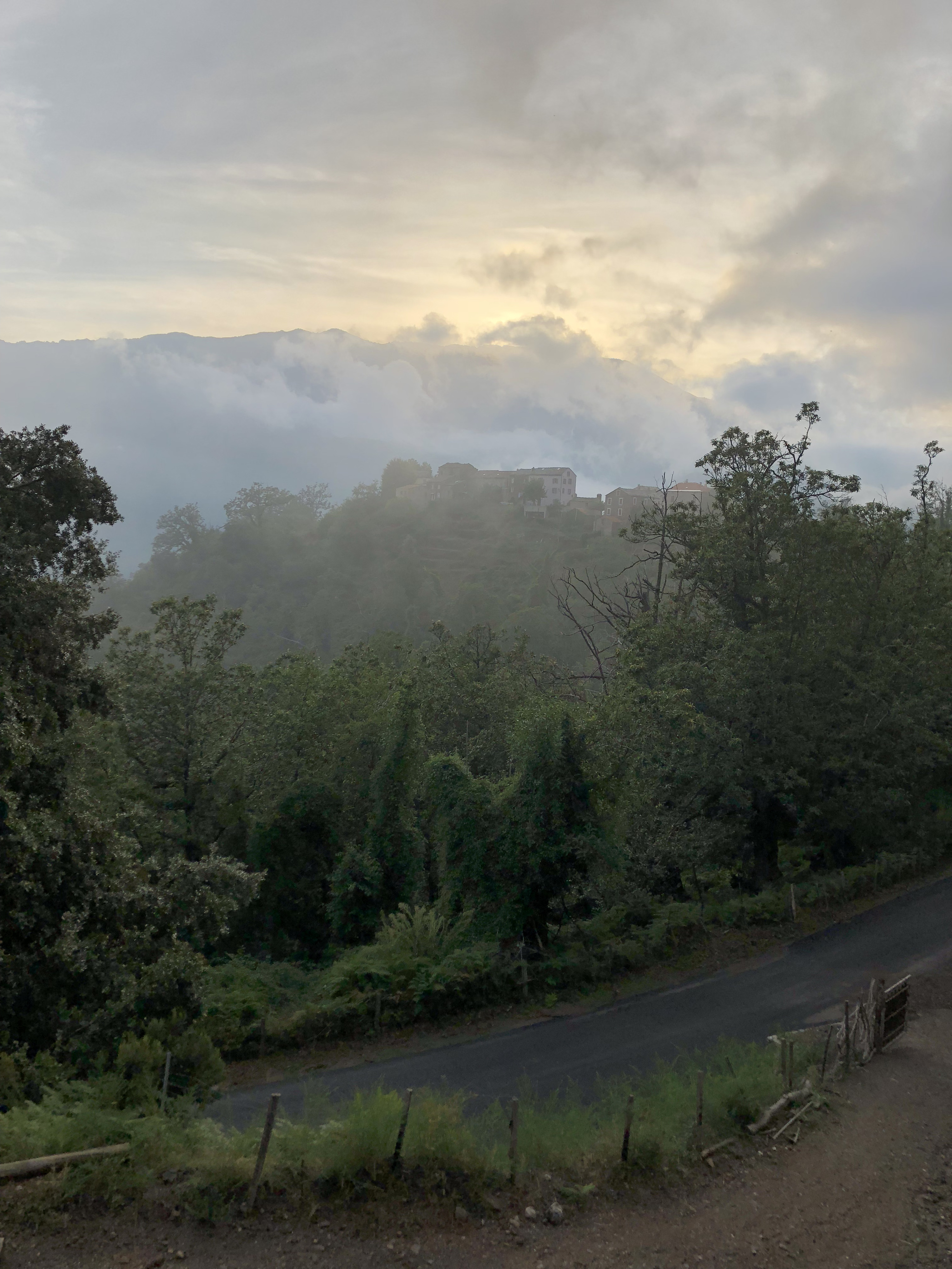 Picture France Corsica Felce 2018-09 0 - Journey Felce