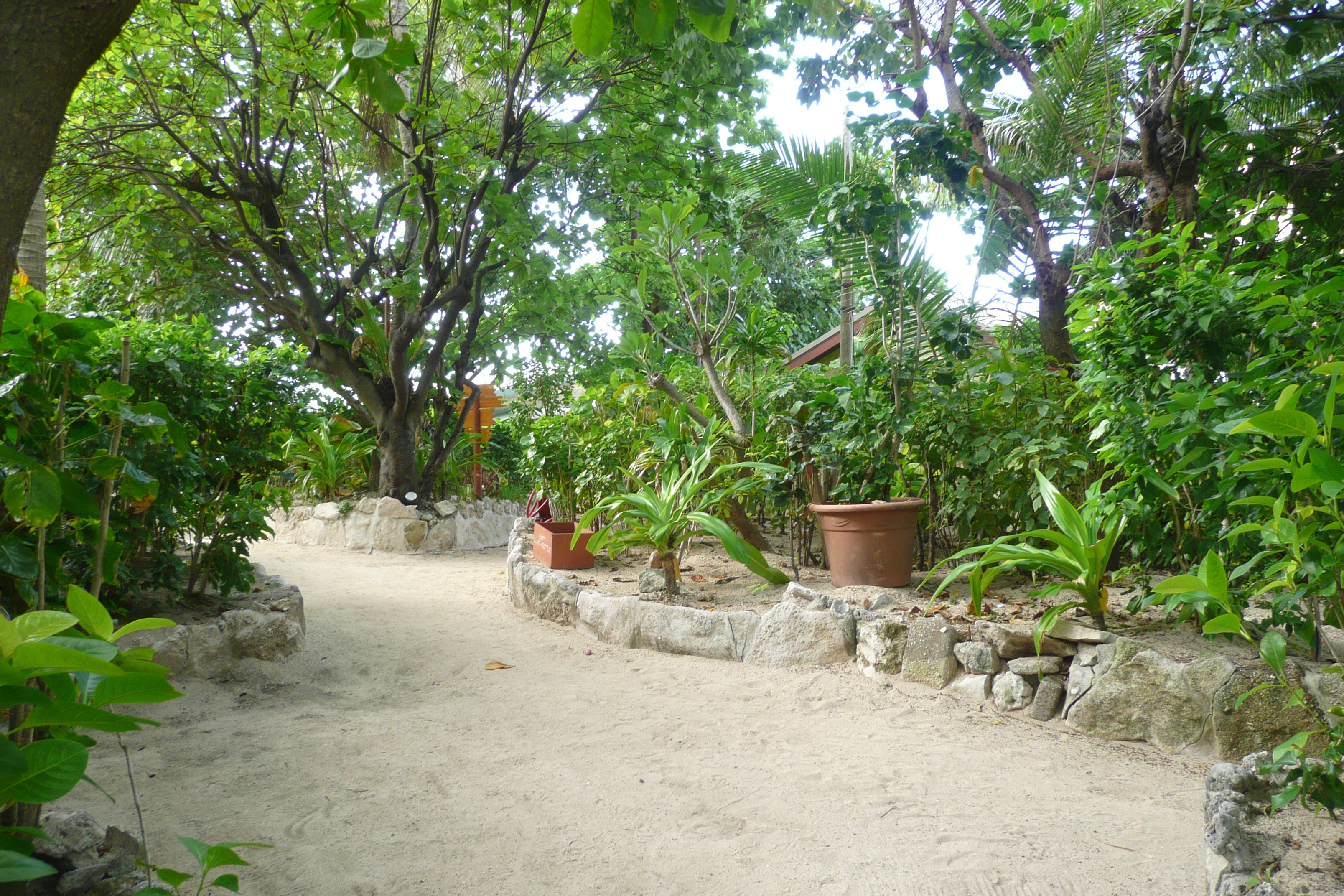 Picture Fiji Beachcomber Island 2010-05 58 - Tours Beachcomber Island