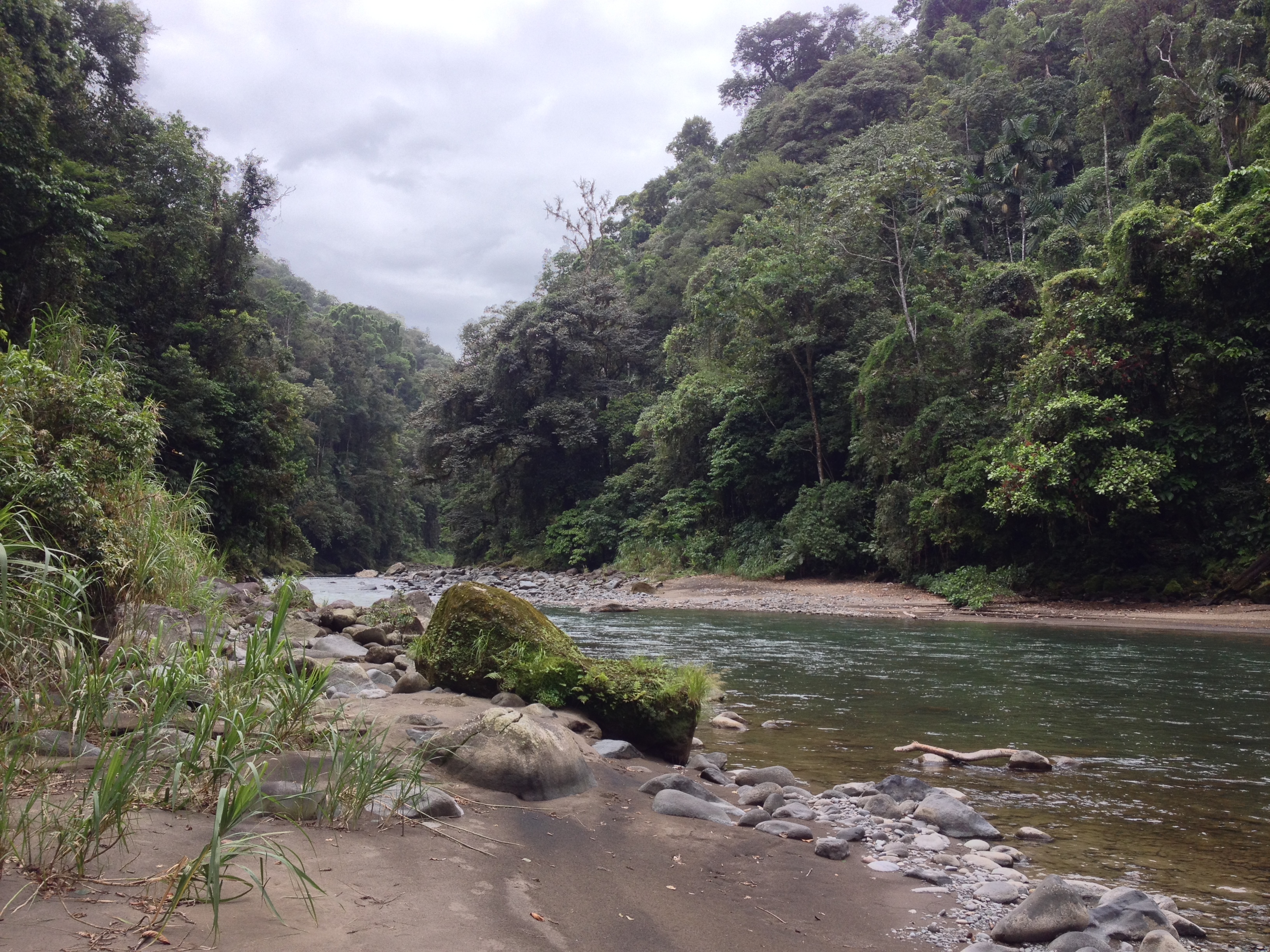 Picture Costa Rica Pacuare River 2015-03 152 - Around Pacuare River