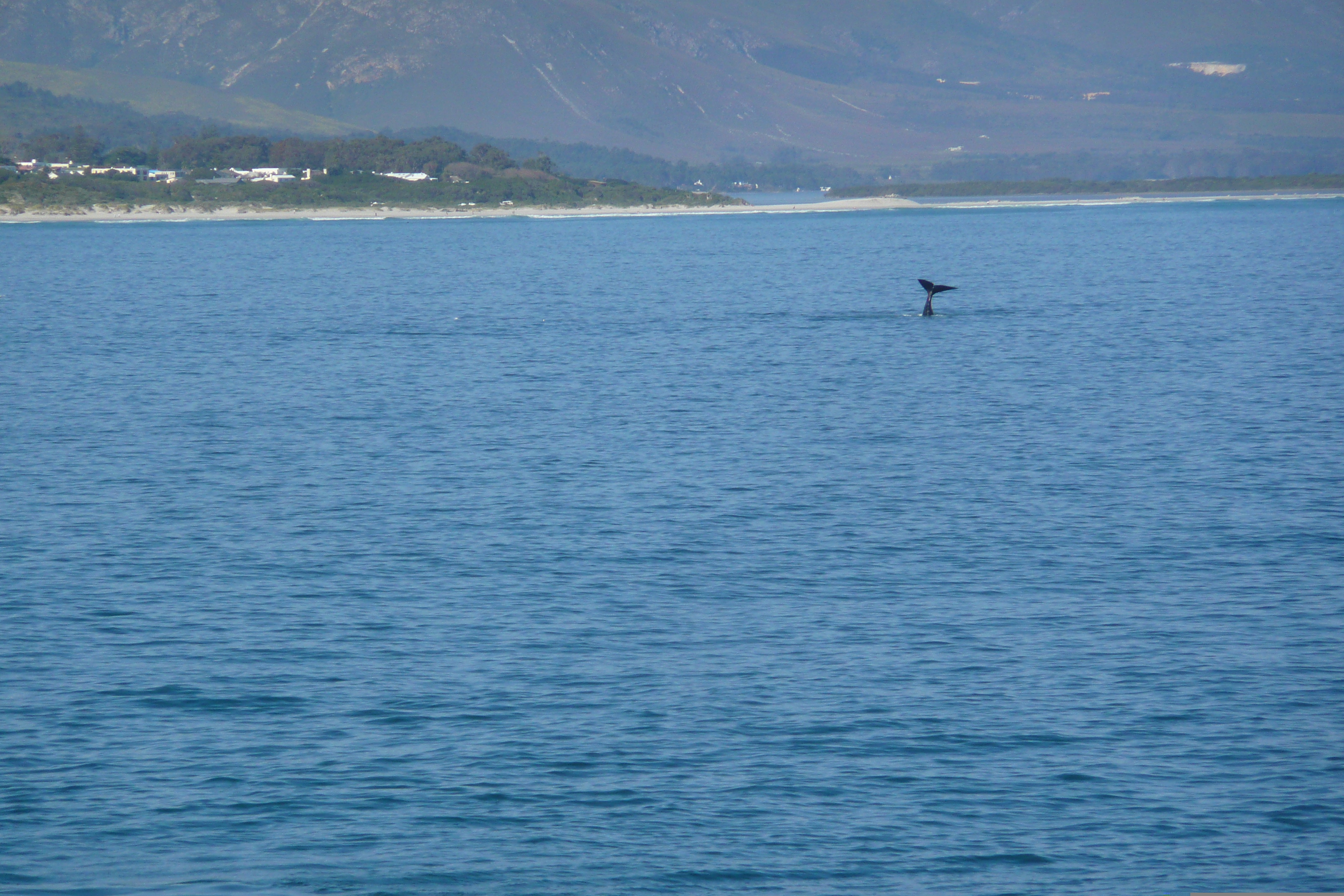 Picture South Africa Harmanus 2008-09 112 - History Harmanus