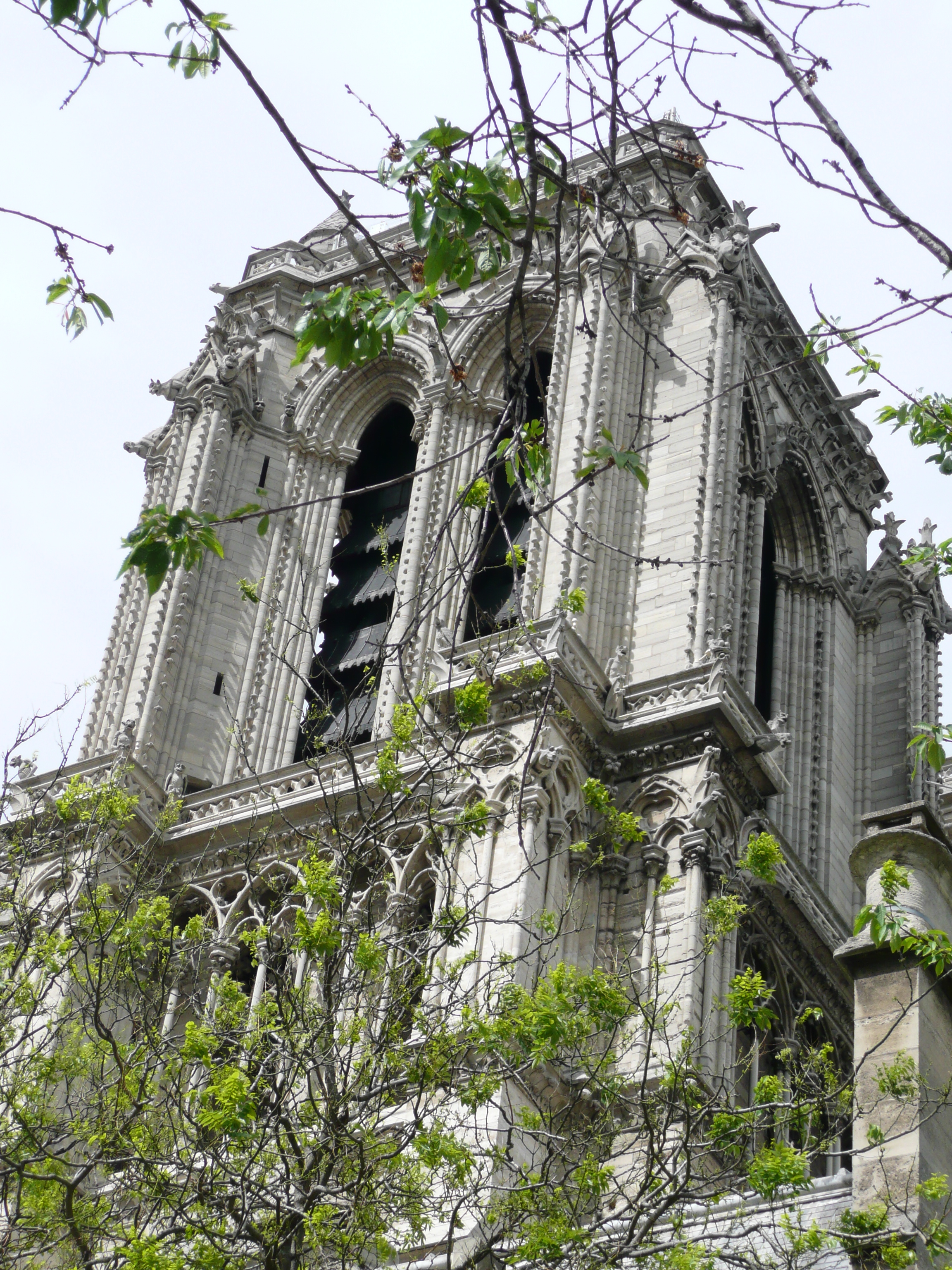 Picture France Paris Notre Dame 2007-05 121 - Center Notre Dame