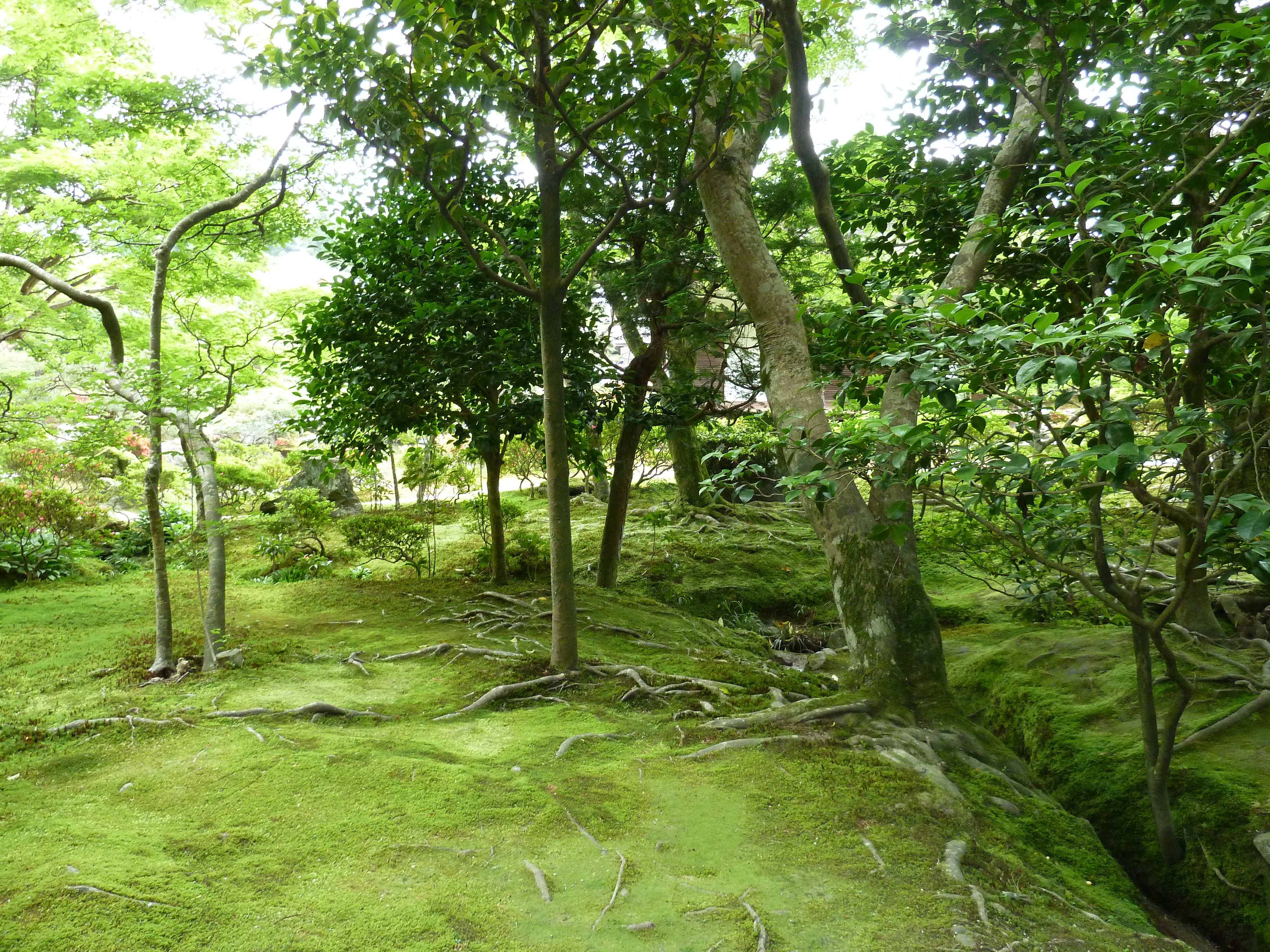 Picture Japan Kyoto Ginkakuji Temple(Silver Pavilion) 2010-06 42 - Discovery Ginkakuji Temple(Silver Pavilion)