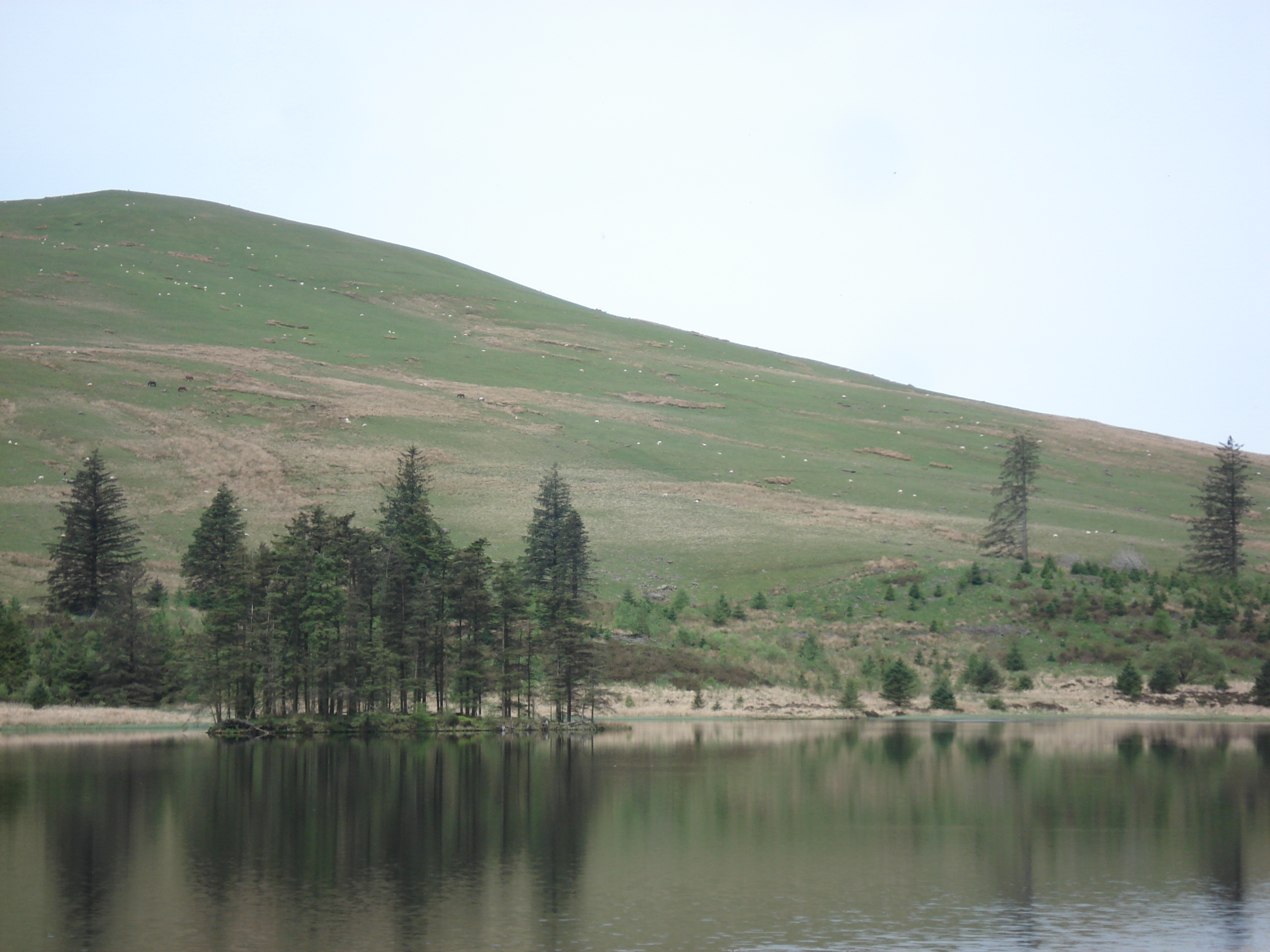 Picture United Kingdom Brecon Beacons National Parc 2006-05 54 - Journey Brecon Beacons National Parc