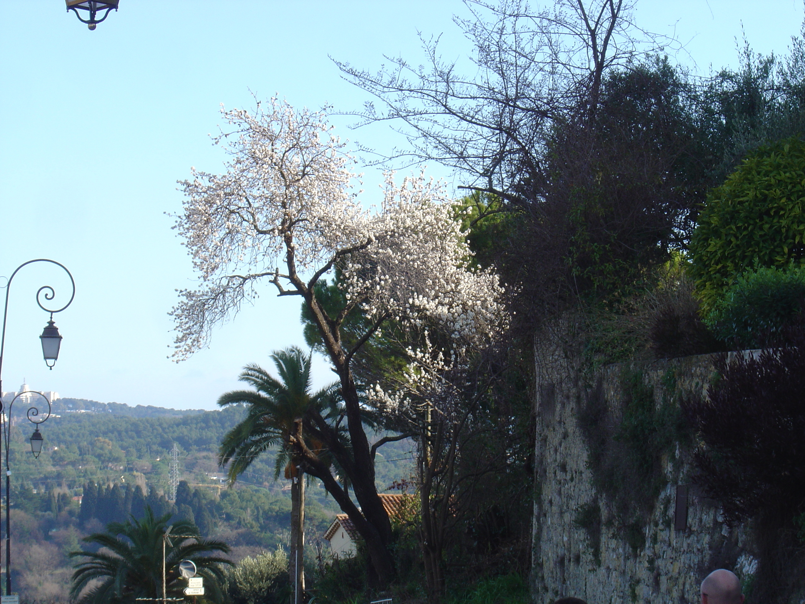 Picture France Mougins 2006-02 36 - Recreation Mougins